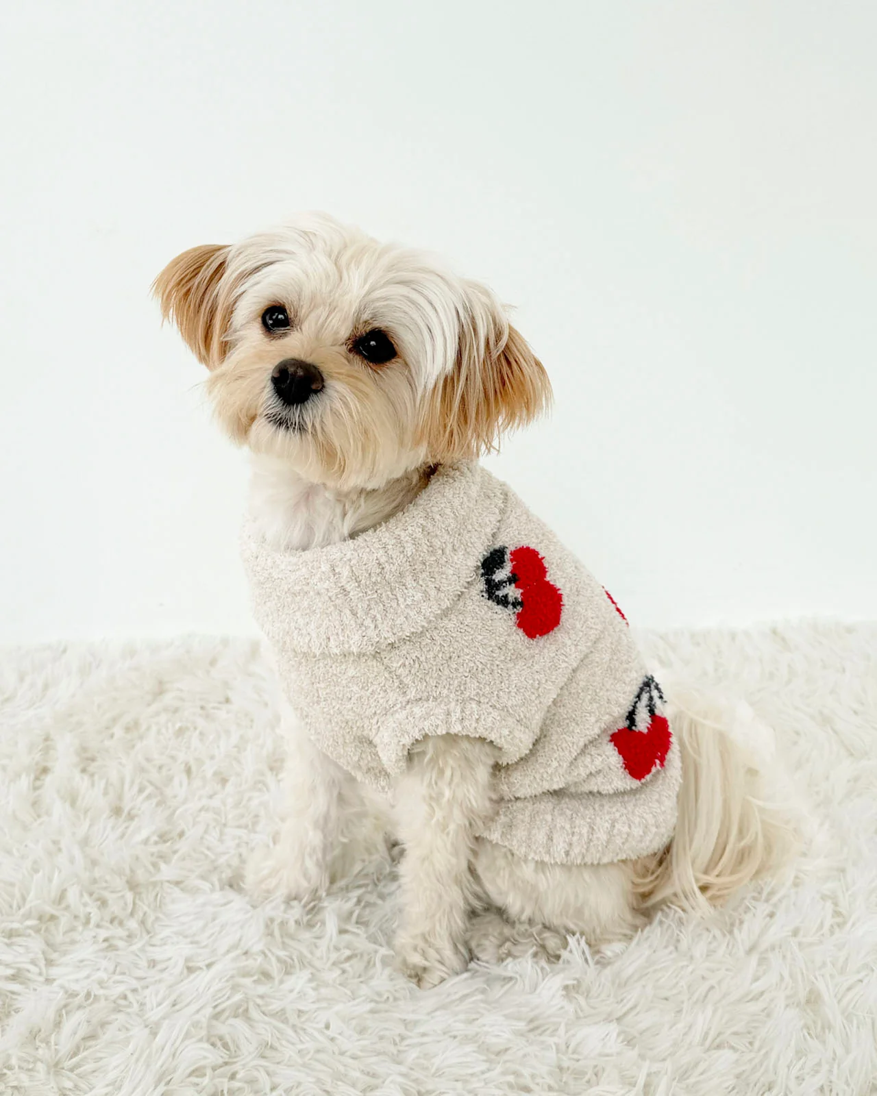 Cherries Fuzzy Pet Sweater