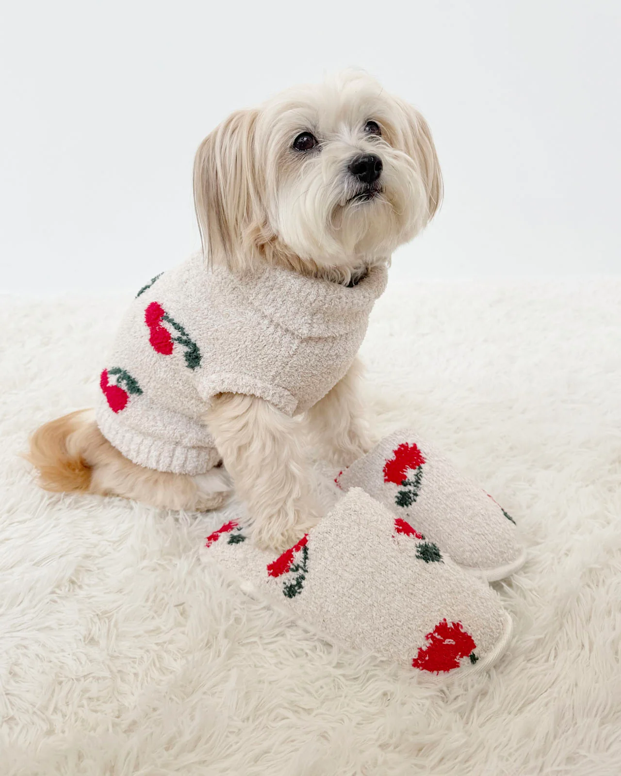 Cherries Fuzzy Pet Sweater - Image 2