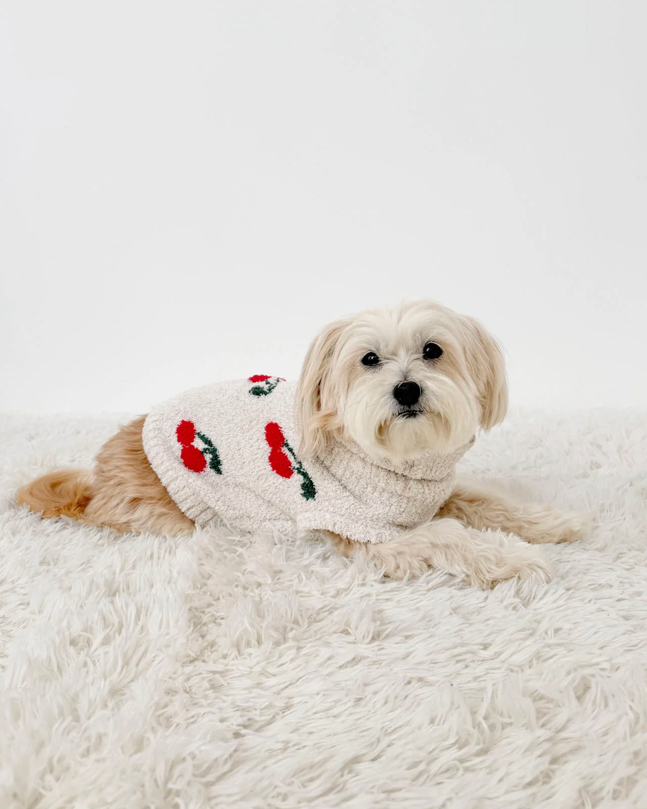 Cherries Fuzzy Pet Sweater - Image 3