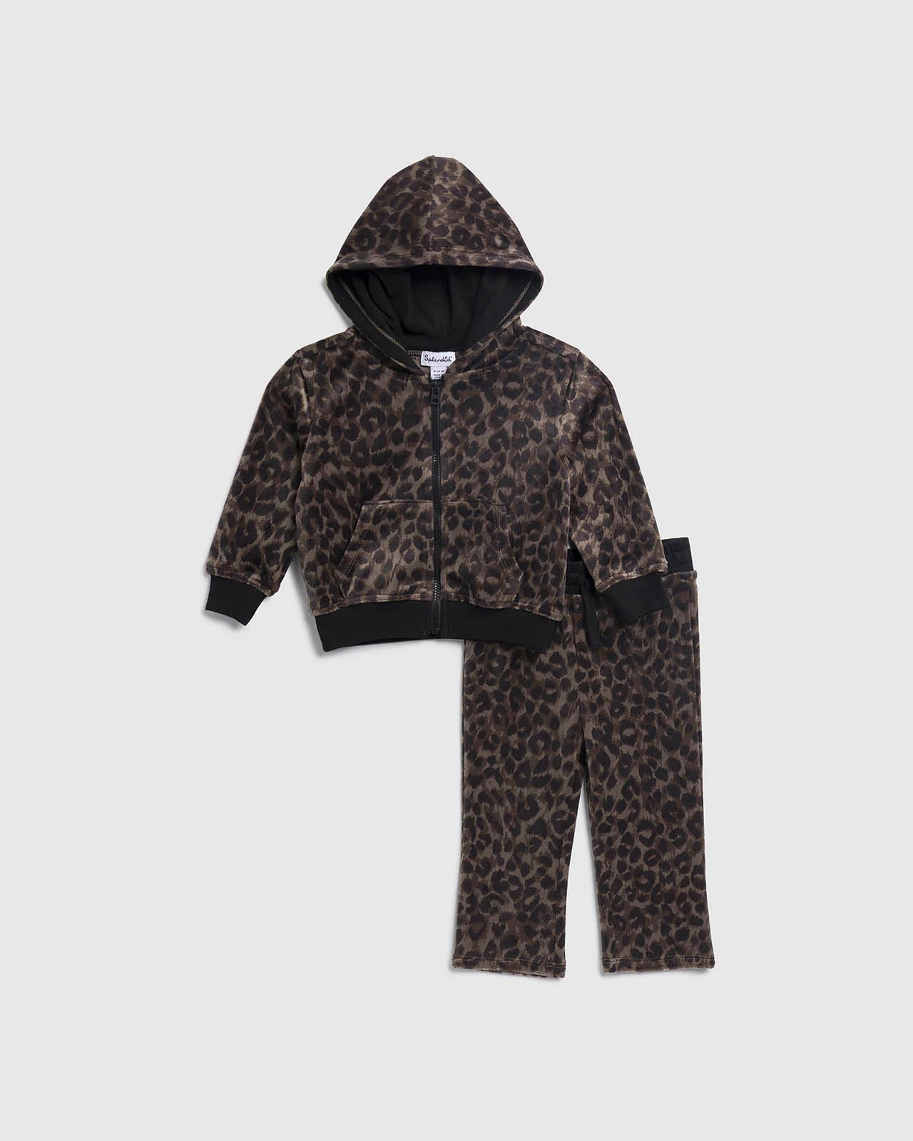 Infant Girl Cheetah Velour Zip Up Set