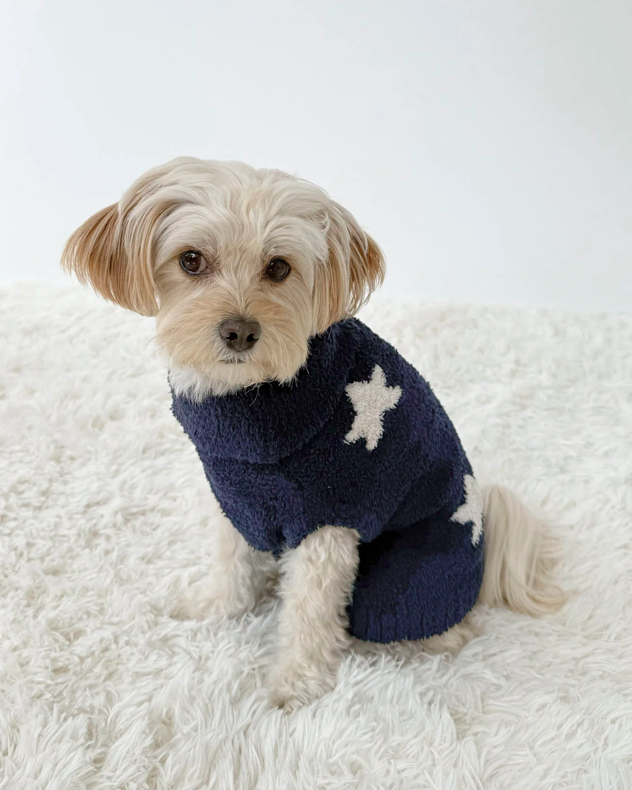 Navy Oat Stars Fuzzy Pet Sweater - Image 2