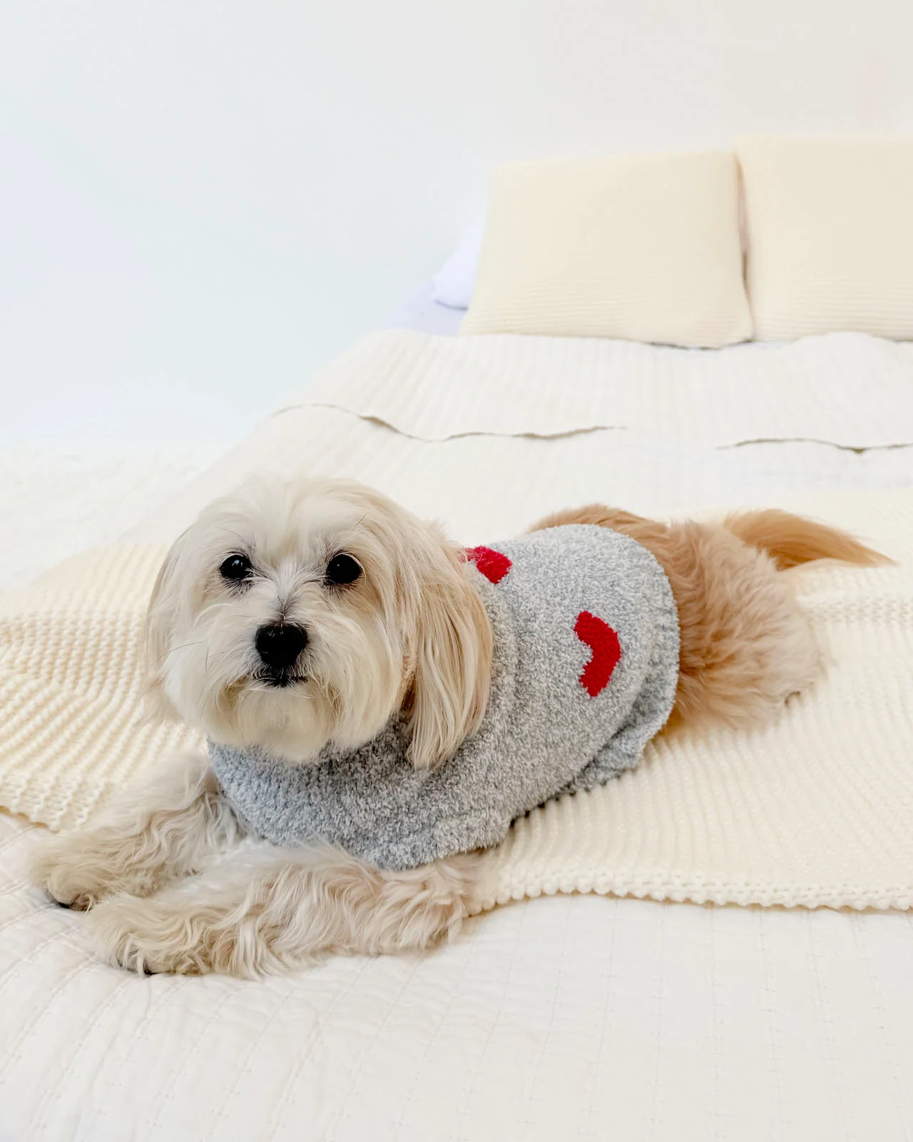 Red Hearts Fuzzy Pet Sweater - Image 3