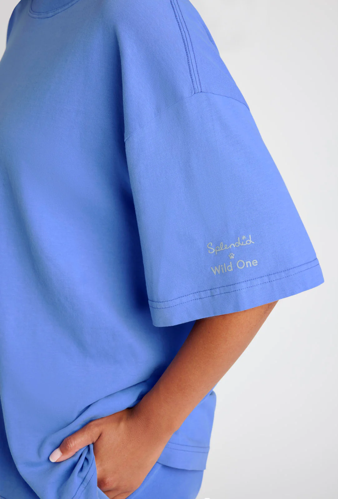 Splendid x Wild One All-Gender Boxy Tee - Image 26