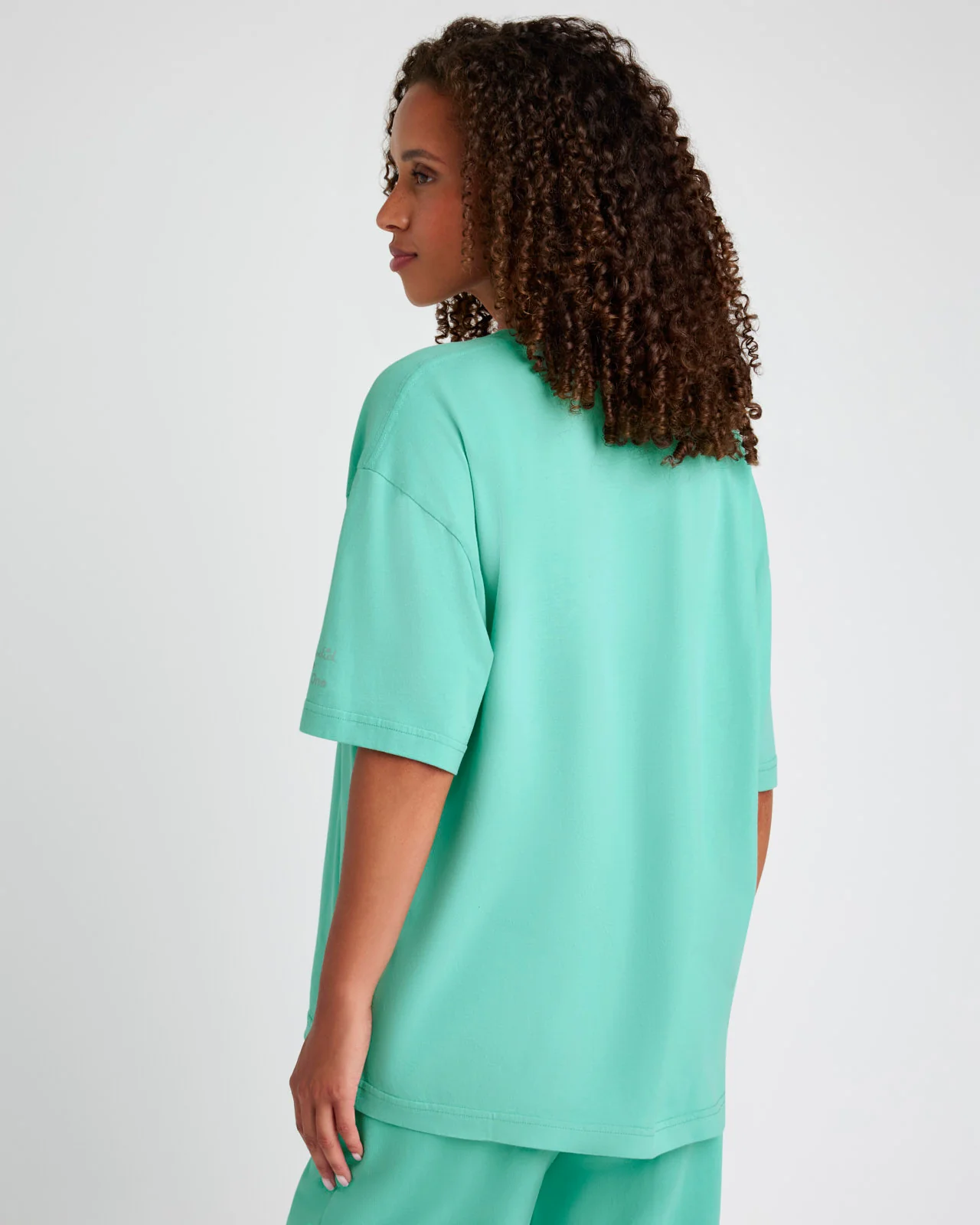 Splendid x Wild One All-Gender Boxy Tee - Image 38