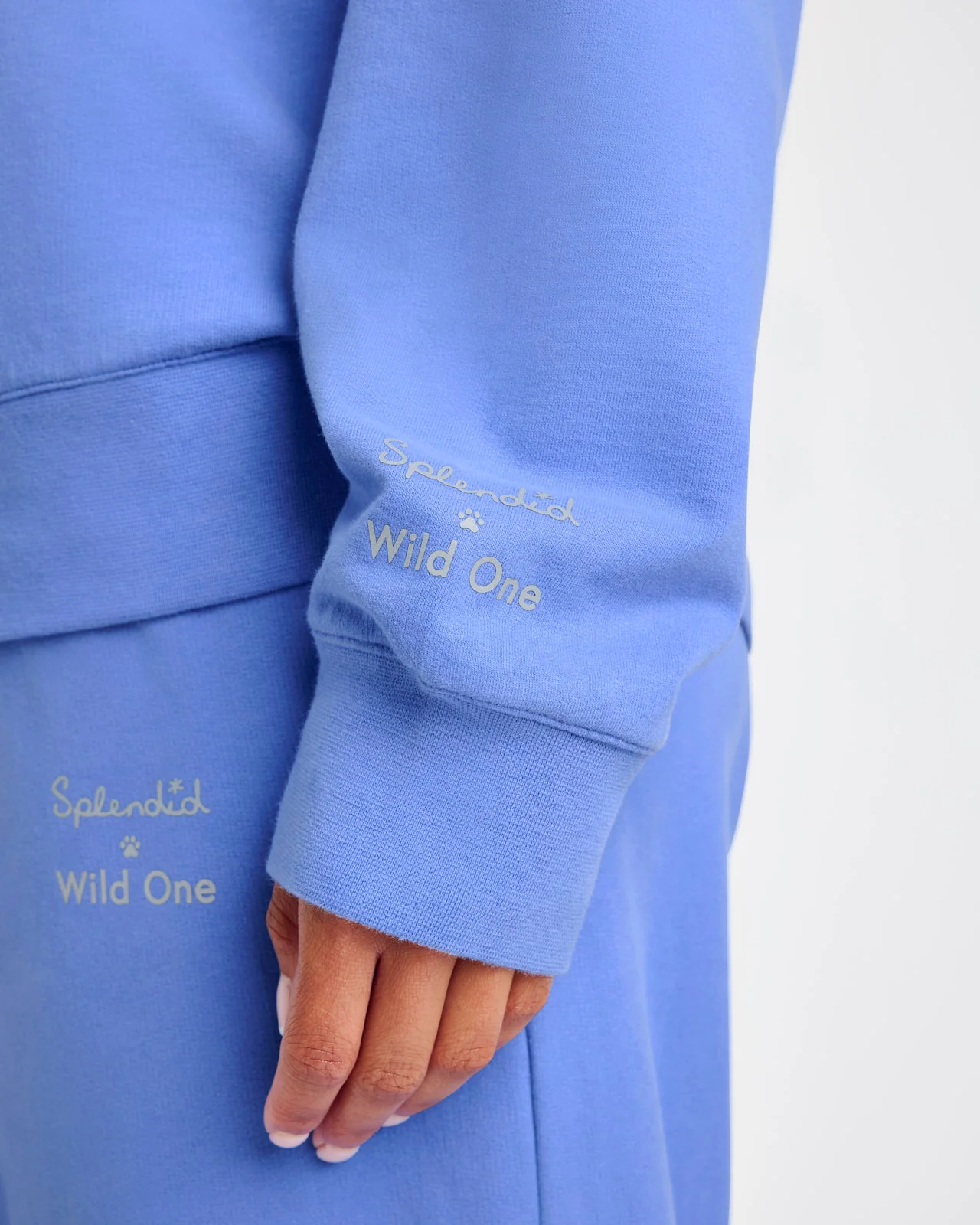 Splendid x Wild One All-Gender Crewneck Pullover - Image 10