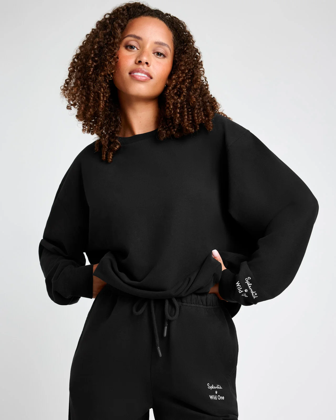 Splendid x Wild One All-Gender Crewneck Pullover - Image 21