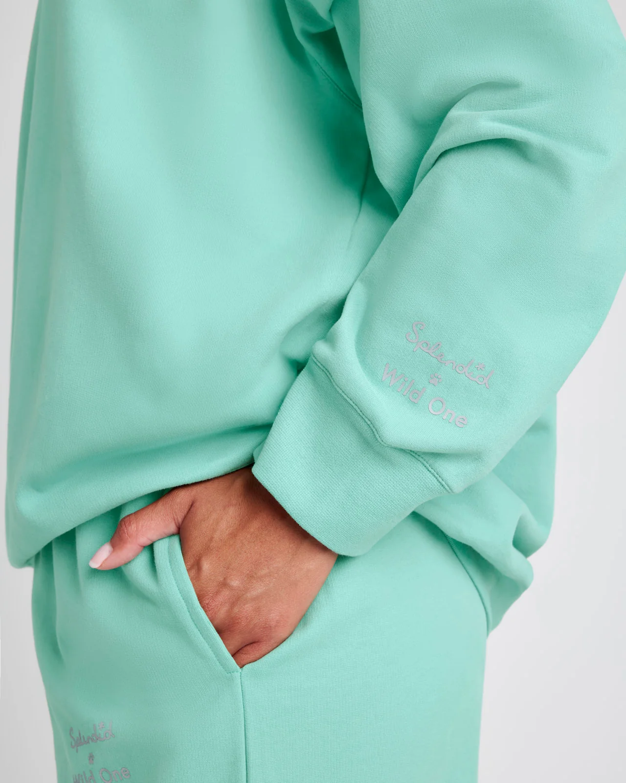 Splendid x Wild One All-Gender Crewneck Pullover - Image 62