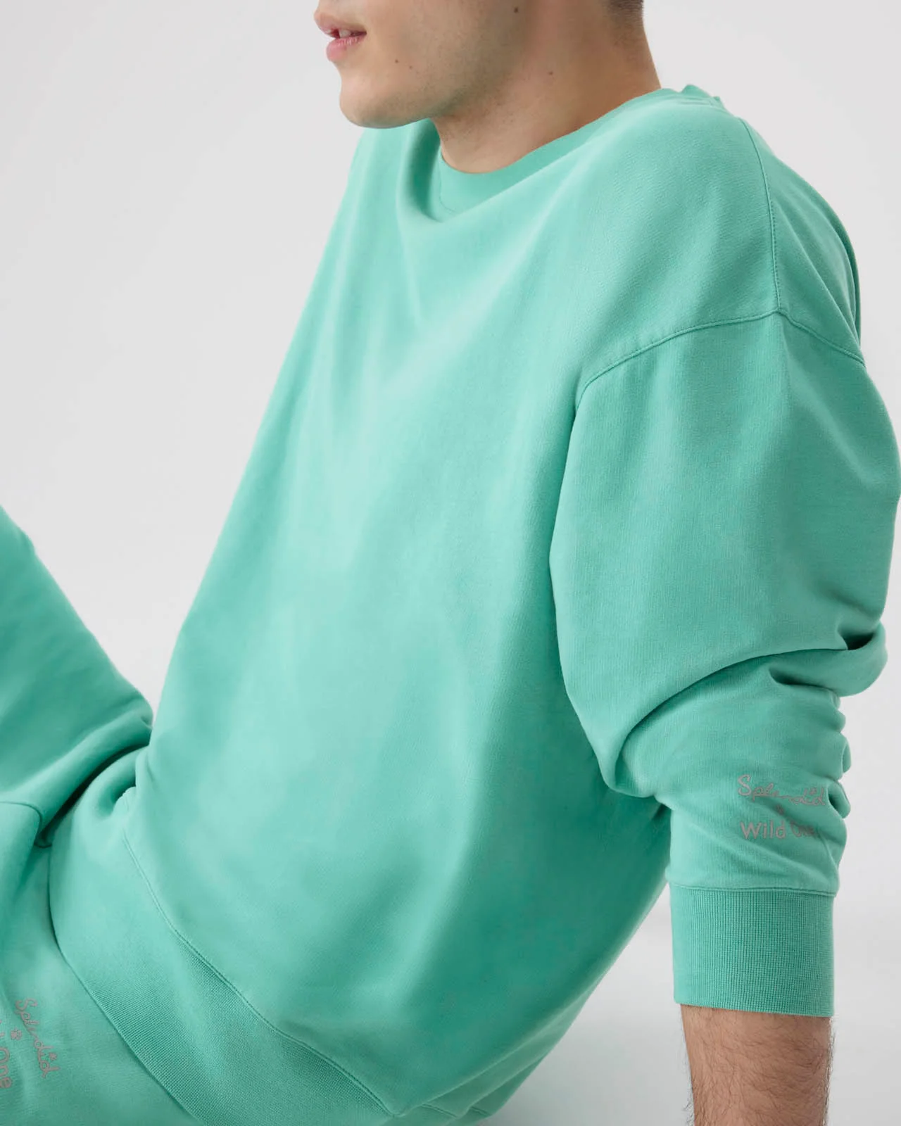 Splendid x Wild One All-Gender Crewneck Pullover - Image 63