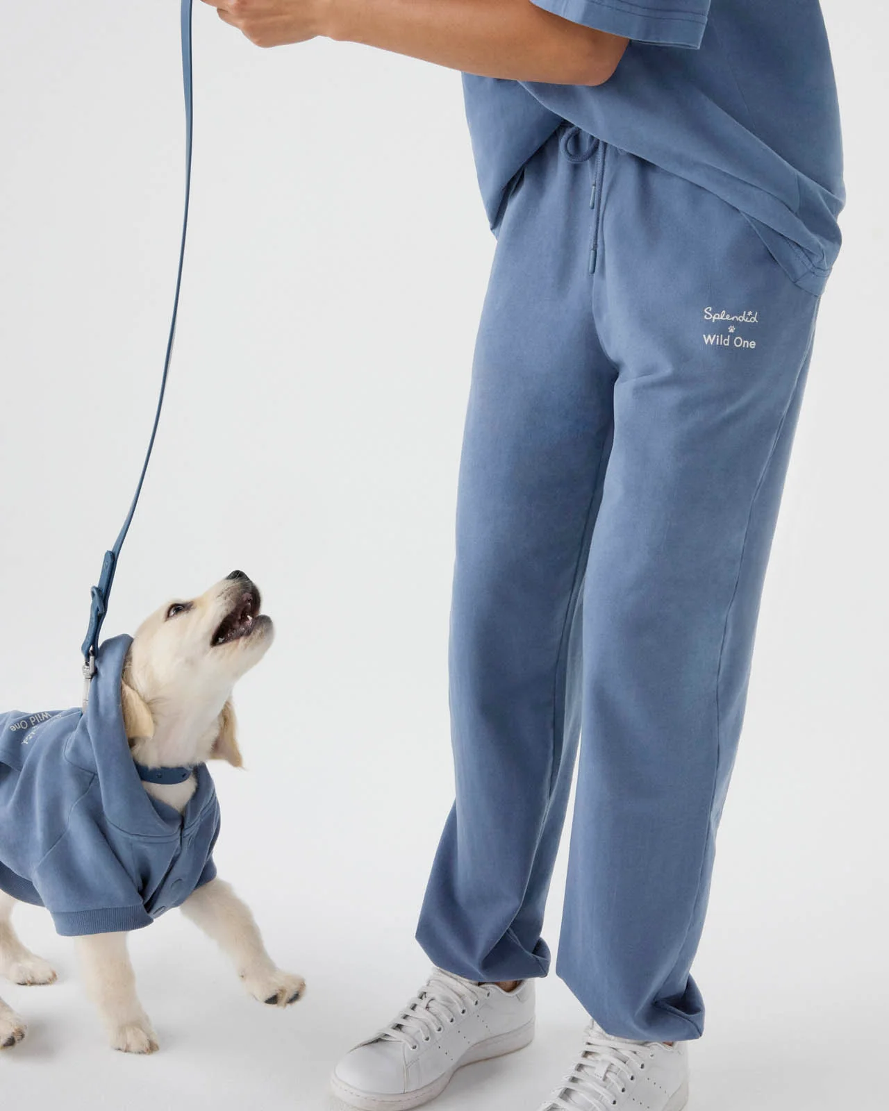 Splendid x Wild One All-Gender Jogger - Image 48