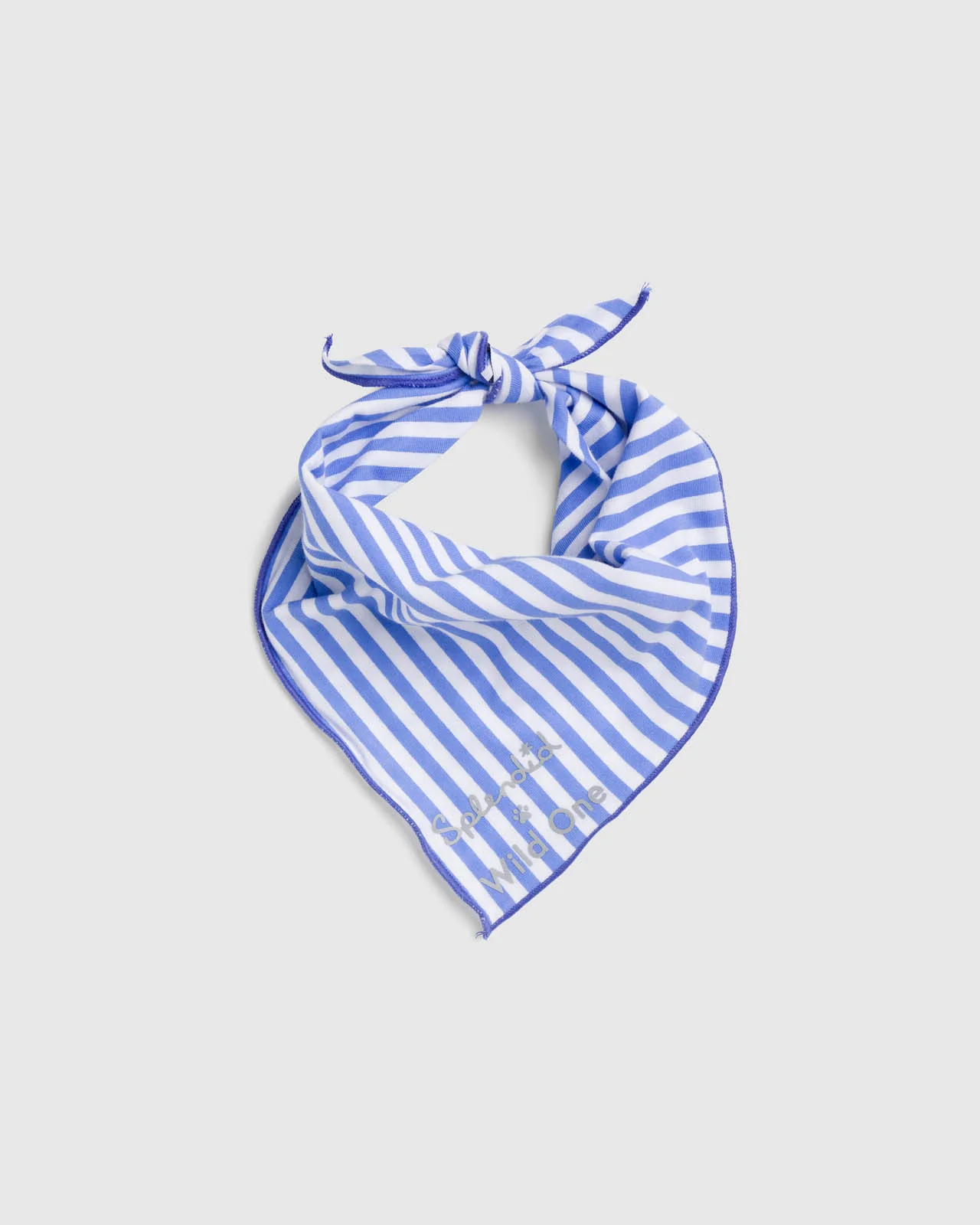 Splendid x Wild One Dog Bandana - Image 3