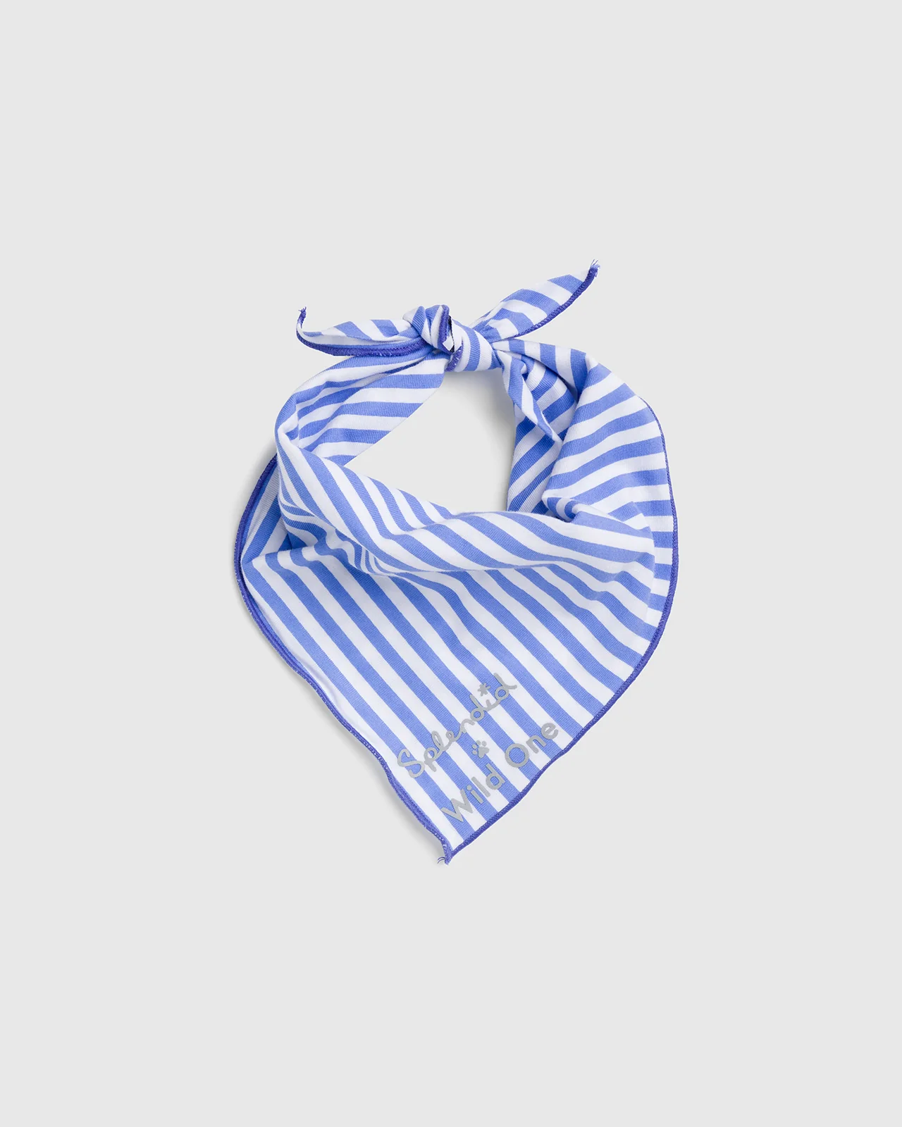 Splendid x Wild One Dog Bandana - Image 4