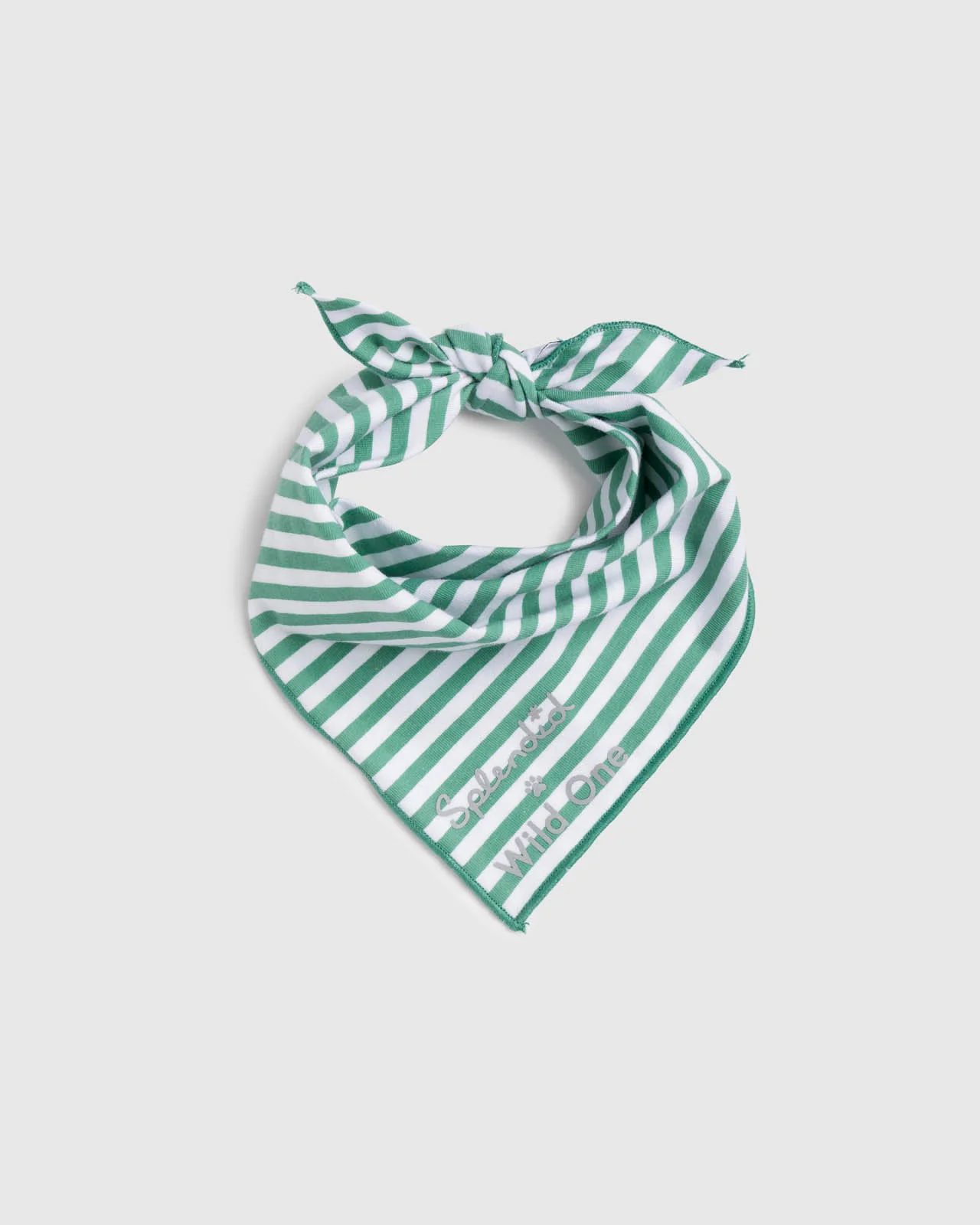 Splendid x Wild One Dog Bandana - Image 5