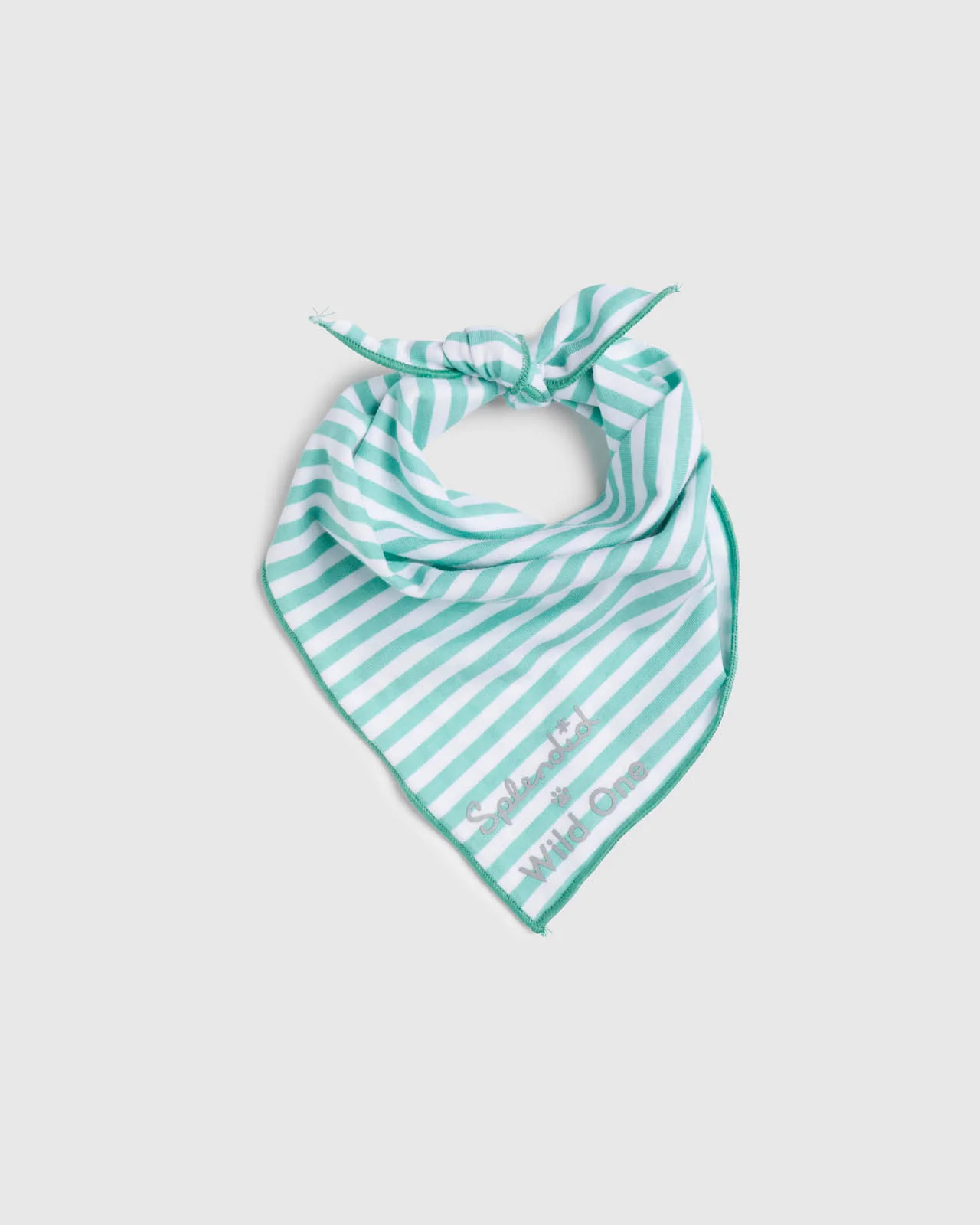 Splendid x Wild One Dog Bandana - Image 7