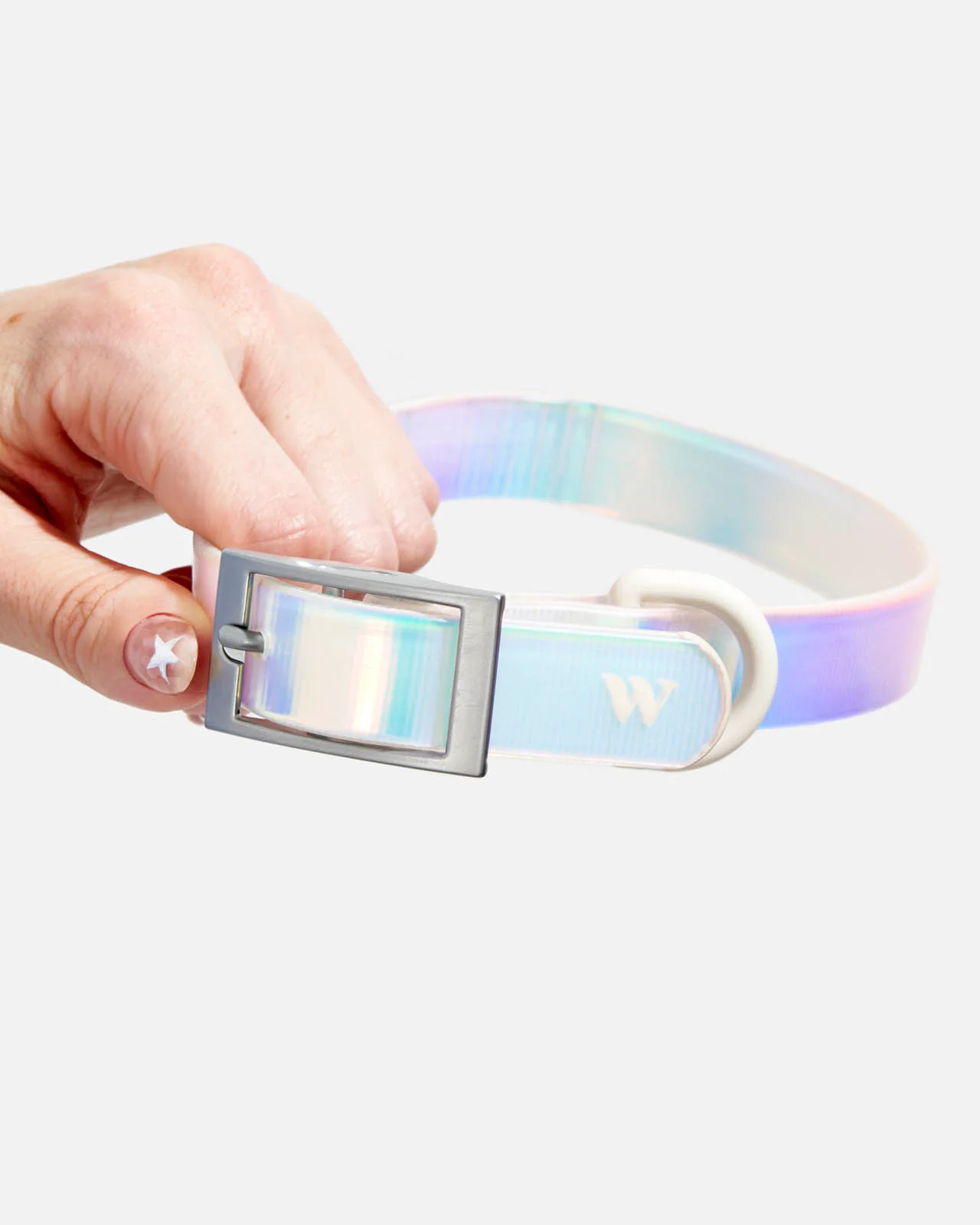 Splendid x Wild One Dog Collar - Image 13