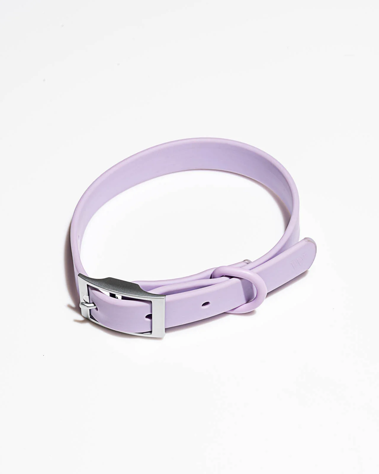 Splendid x Wild One Dog Collar - Image 20
