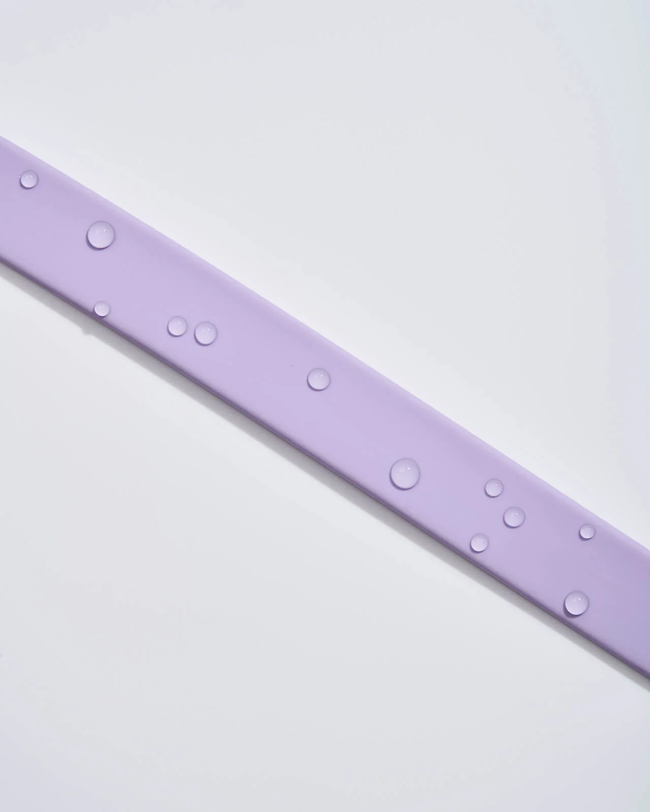 Splendid x Wild One Dog Collar - Image 26