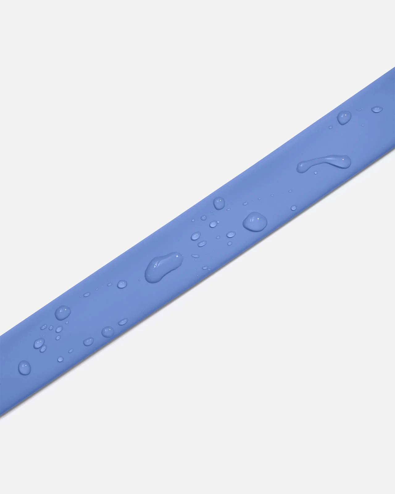 Splendid x Wild One Dog Collar - Image 27