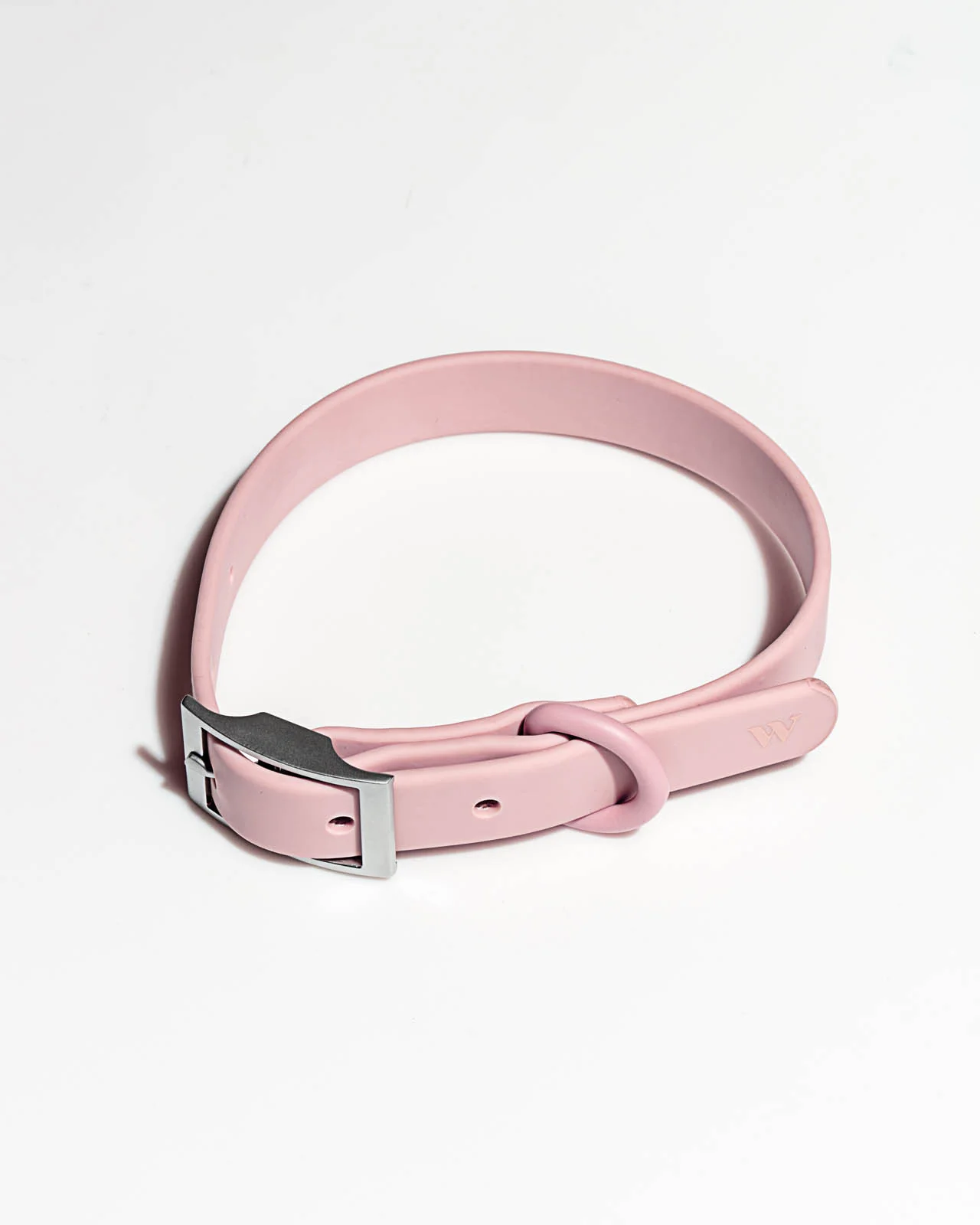Splendid x Wild One Dog Collar - Image 3