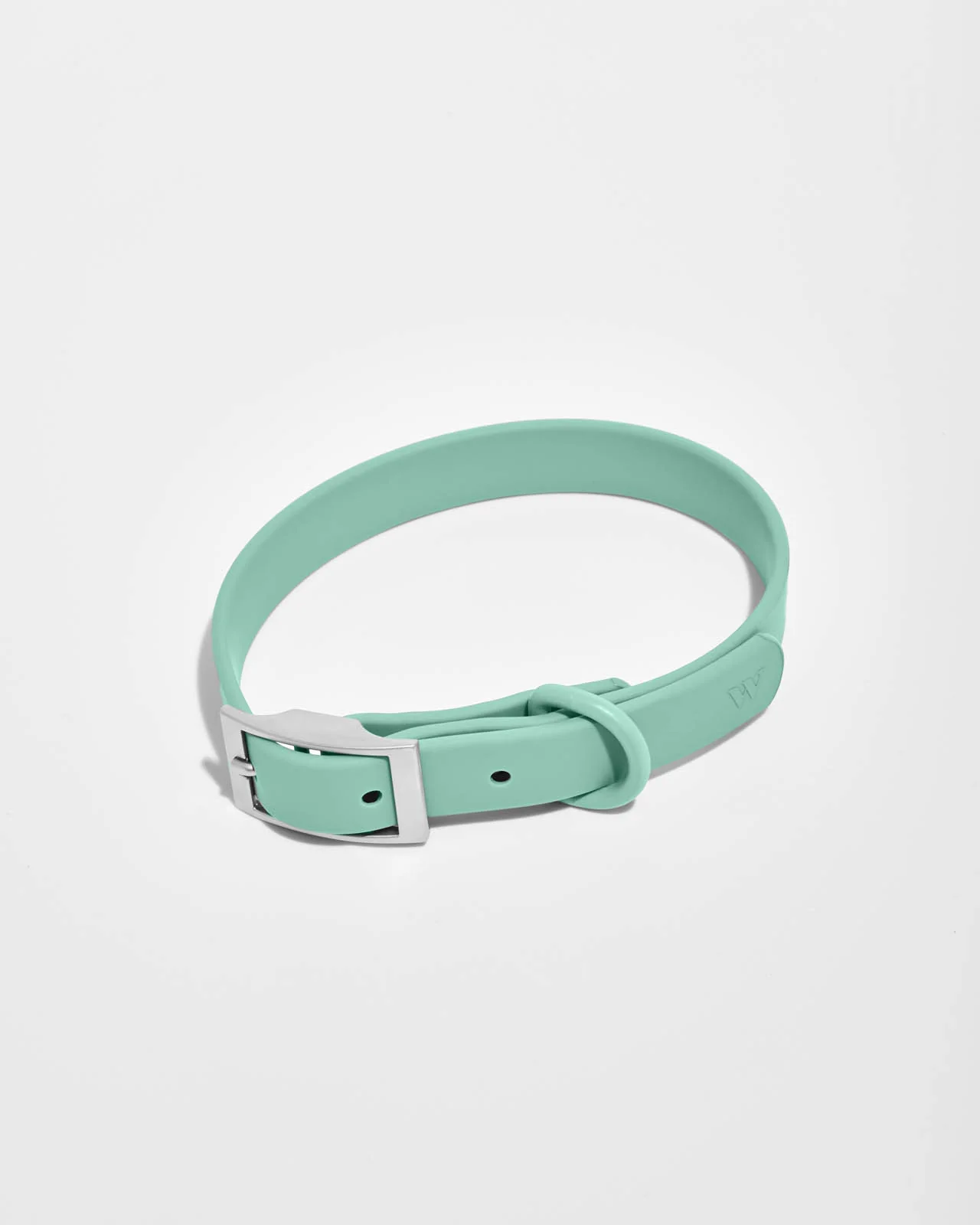 Splendid x Wild One Dog Collar - Image 39