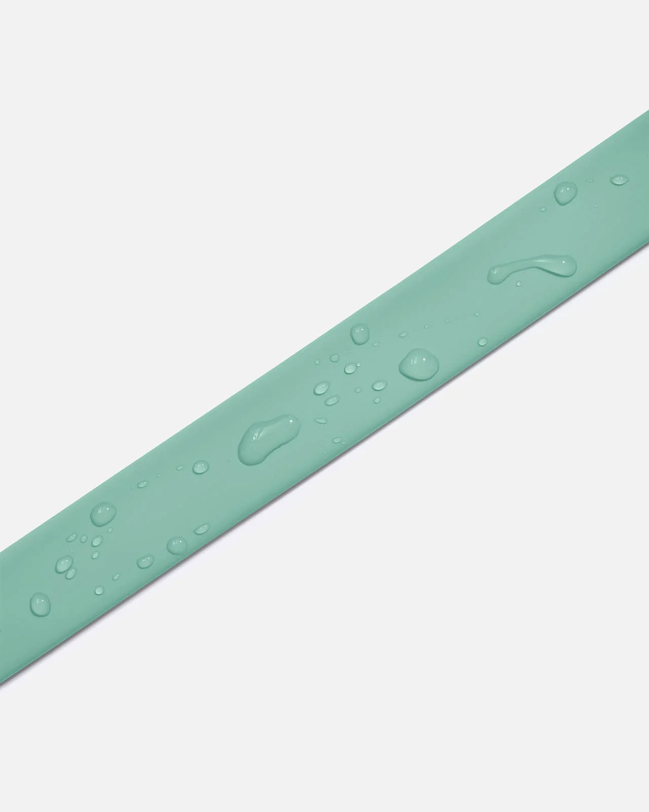 Splendid x Wild One Dog Collar - Image 40