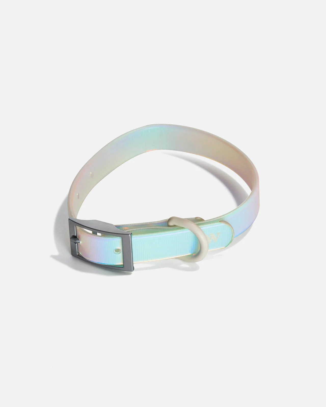 Splendid x Wild One Dog Collar - Image 41