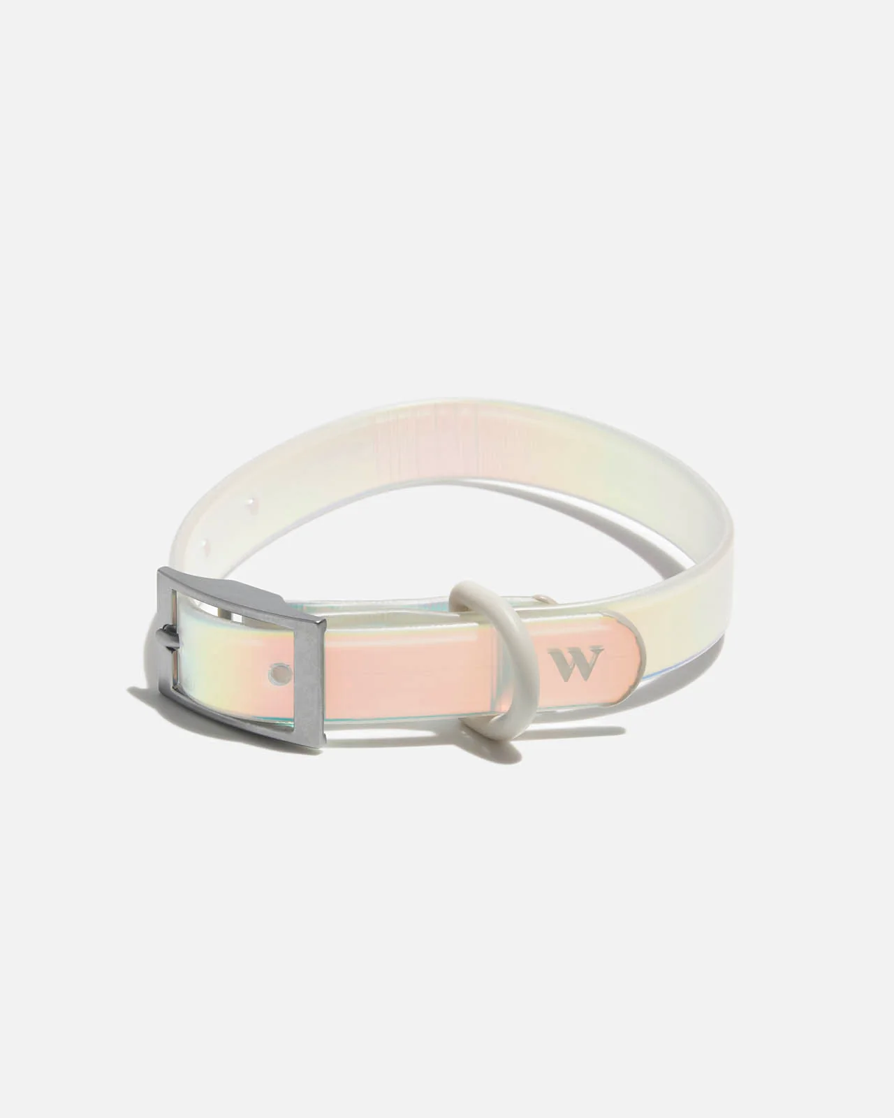 Splendid x Wild One Dog Collar - Image 42