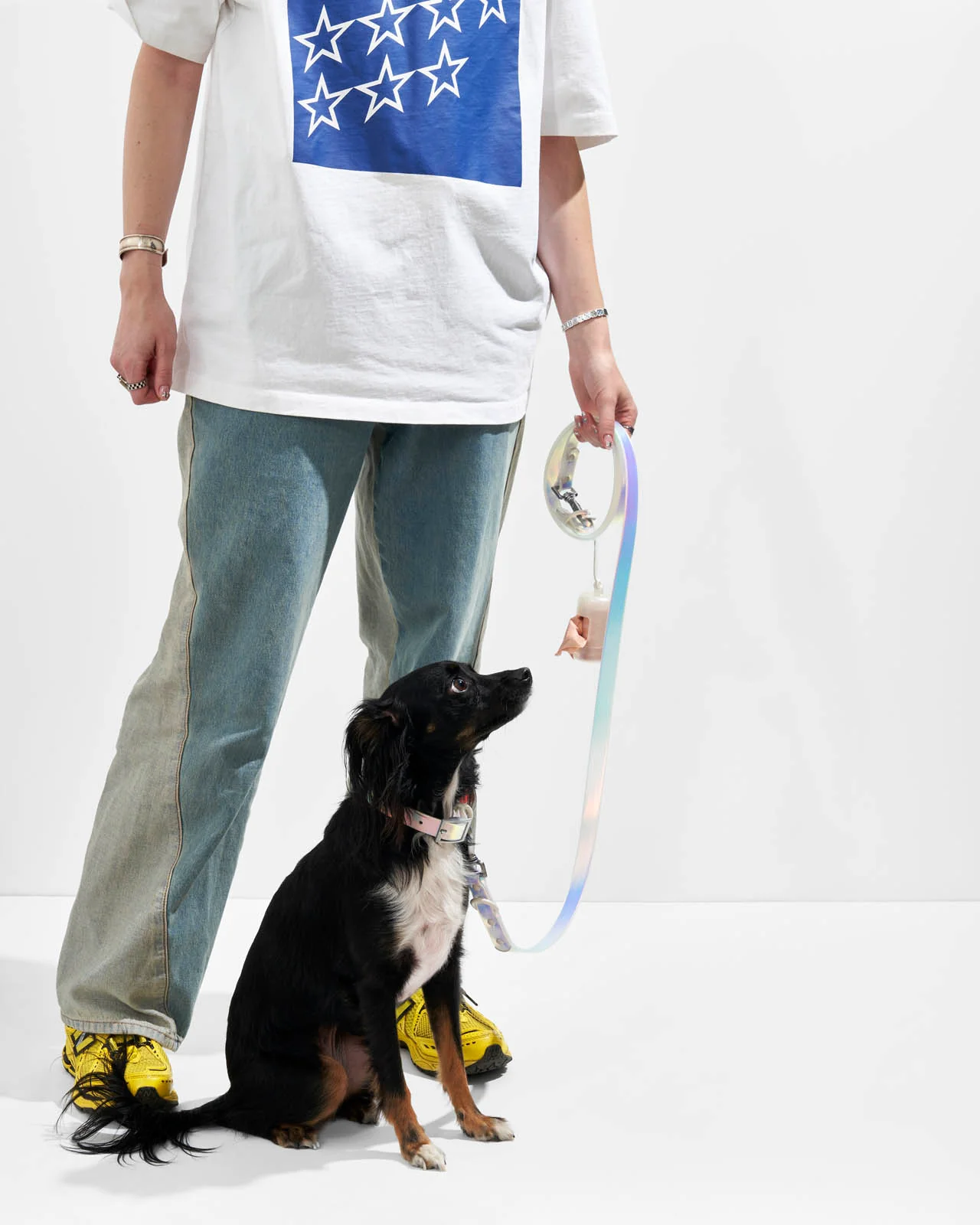 Splendid x Wild One Dog Collar - Image 44