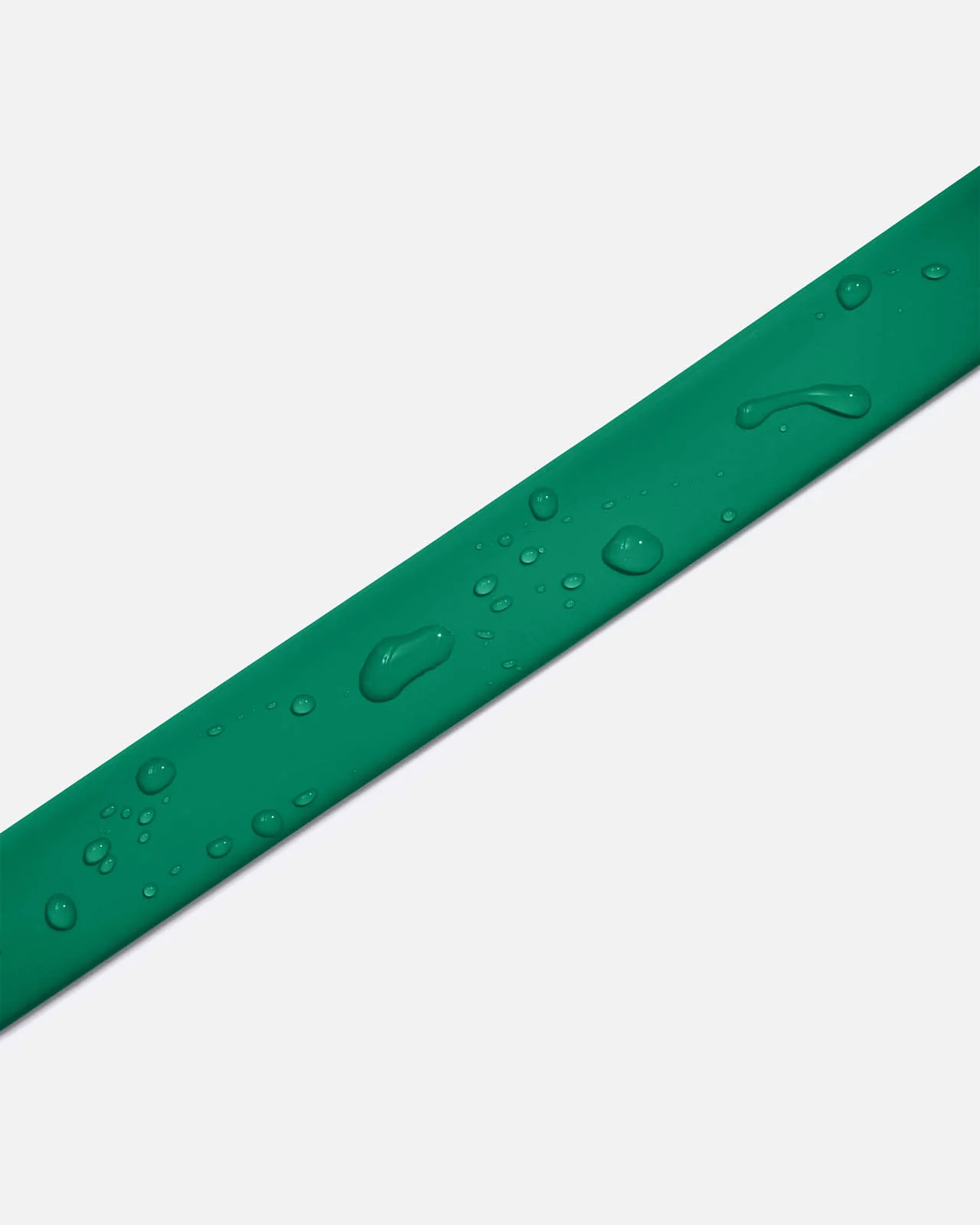 Splendid x Wild One Dog Collar - Image 50
