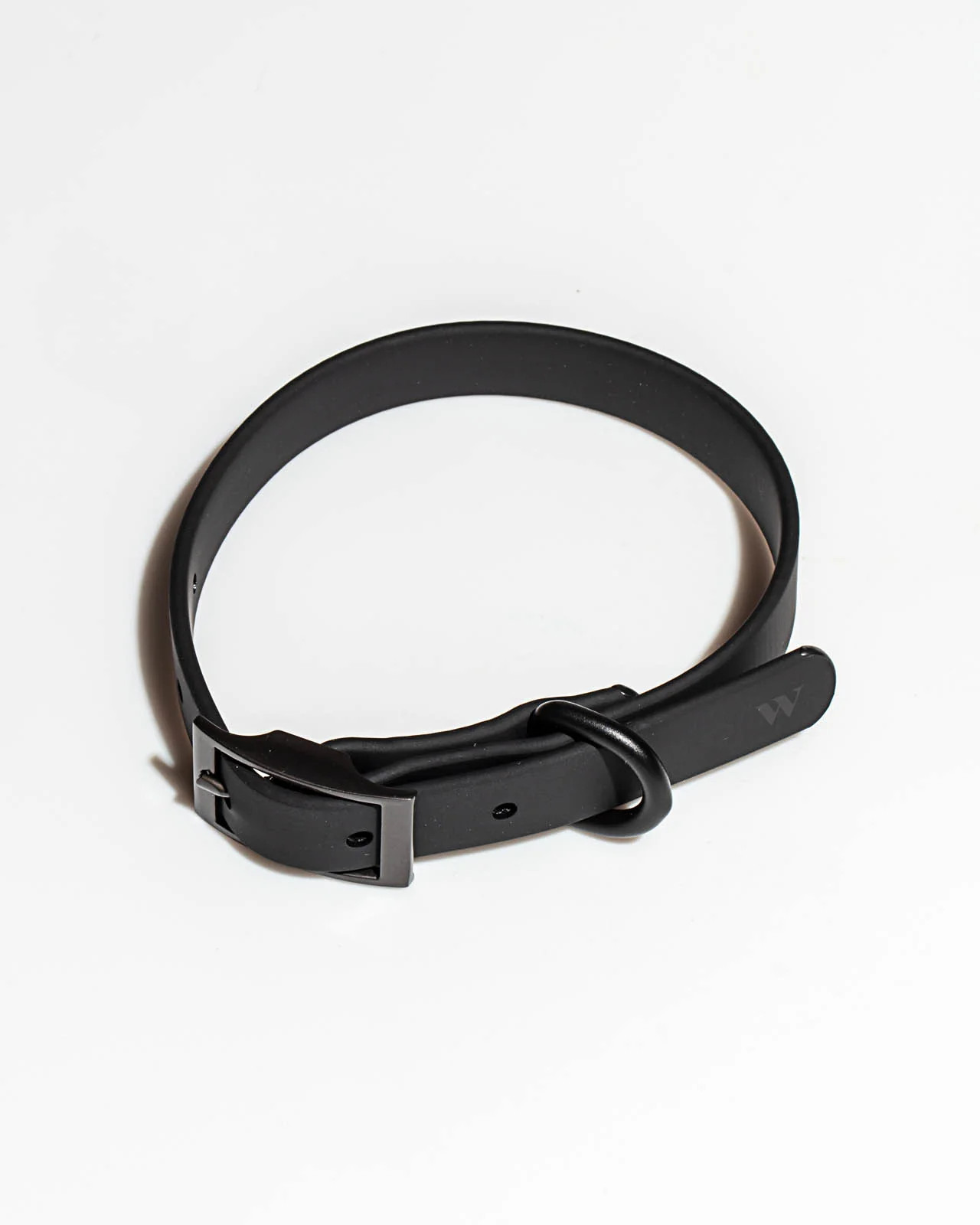 Splendid x Wild One Dog Collar - Image 8