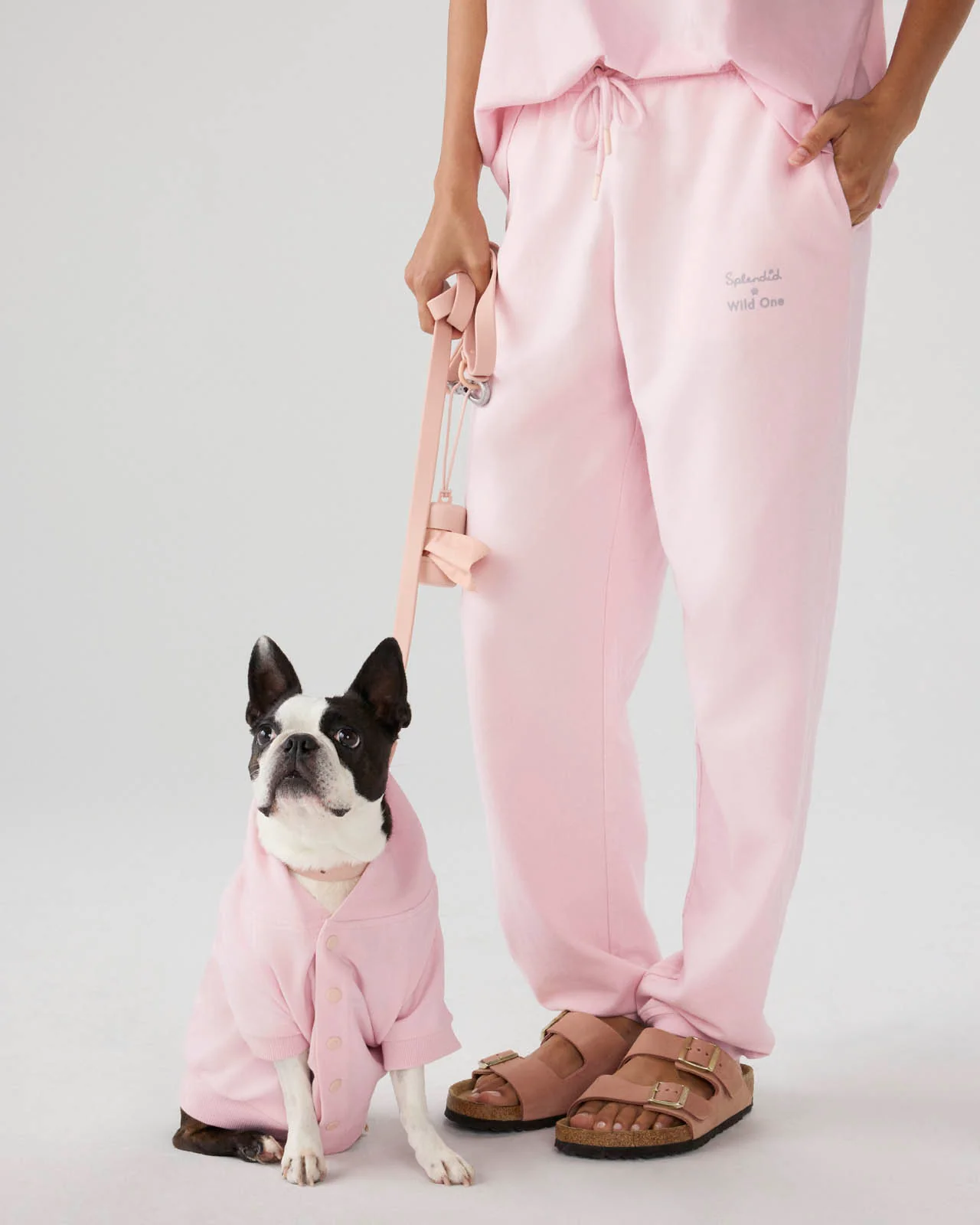 Splendid x Wild One Dog Hoodie - Image 12
