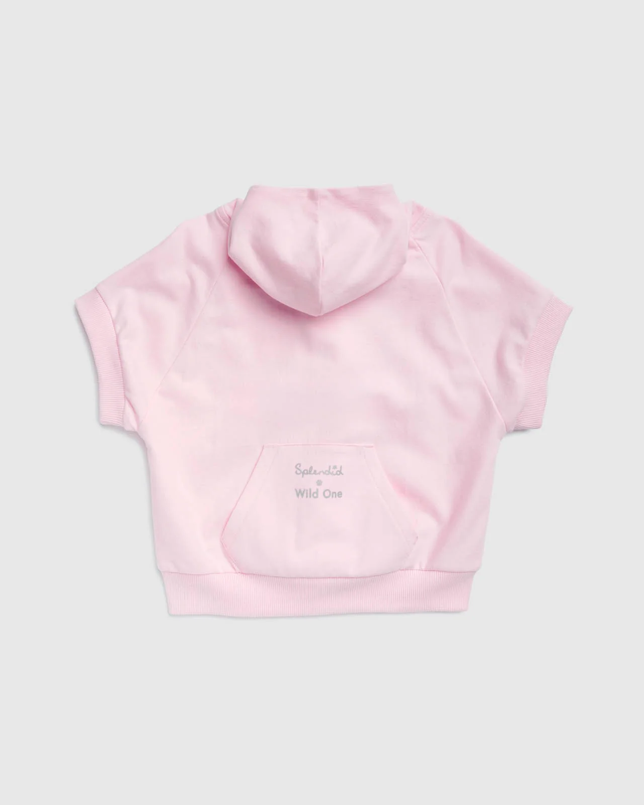 Splendid x Wild One Dog Hoodie - Image 14