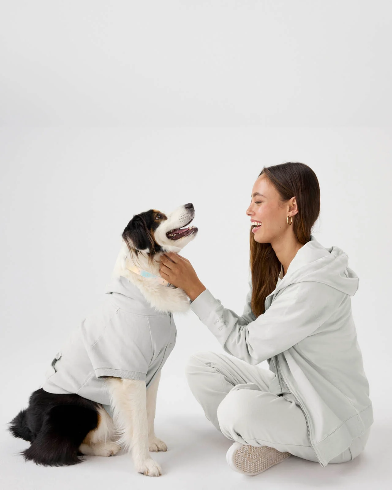 Splendid x Wild One Dog Hoodie - Image 15