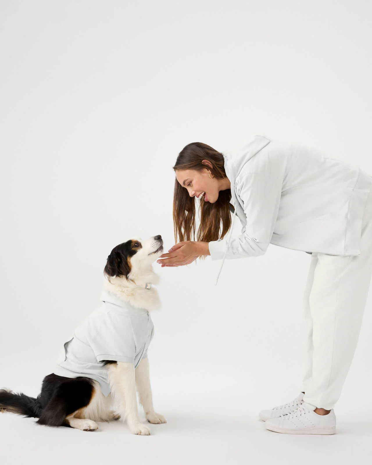 Splendid x Wild One Dog Hoodie - Image 18