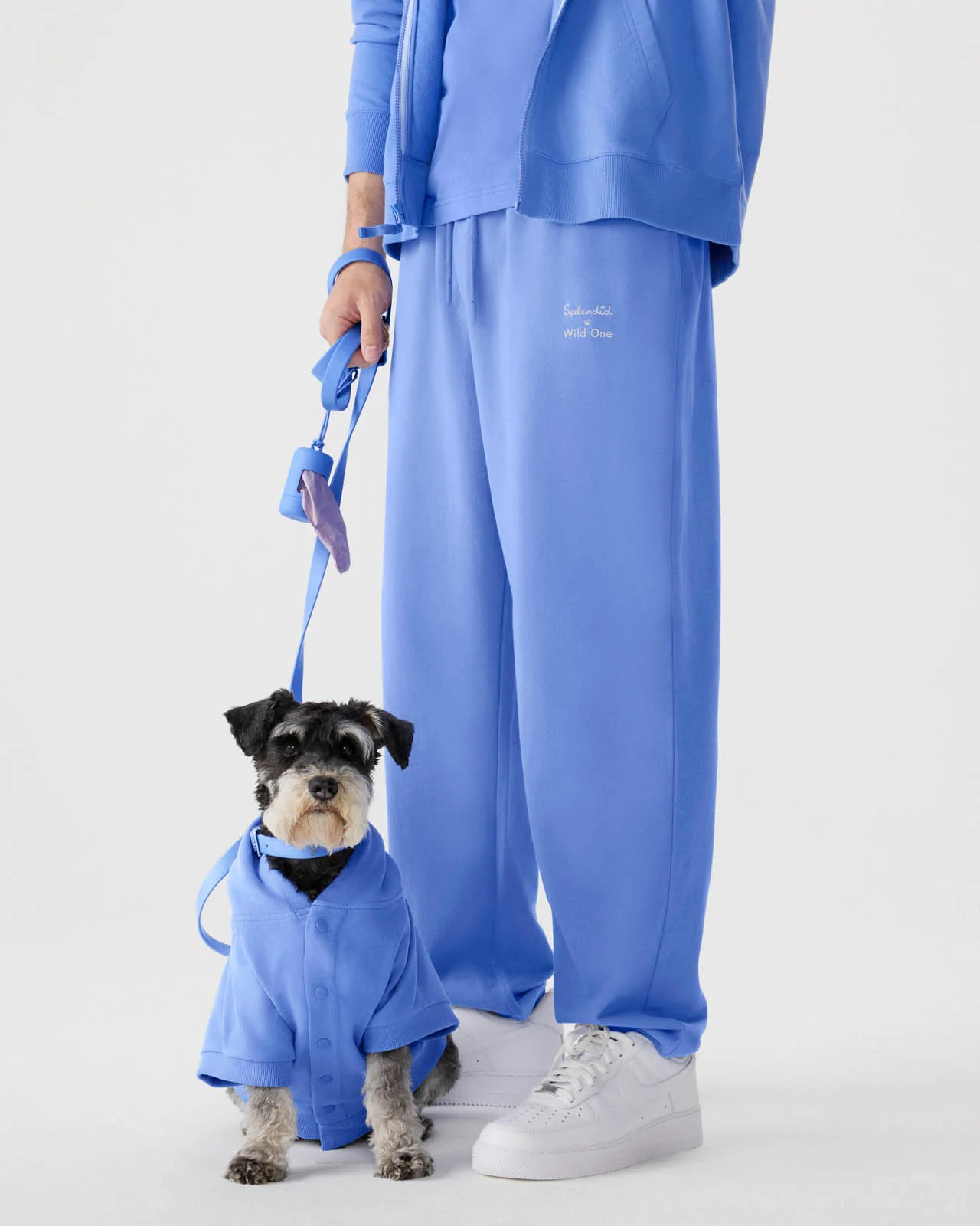 Splendid x Wild One Dog Hoodie - Image 21