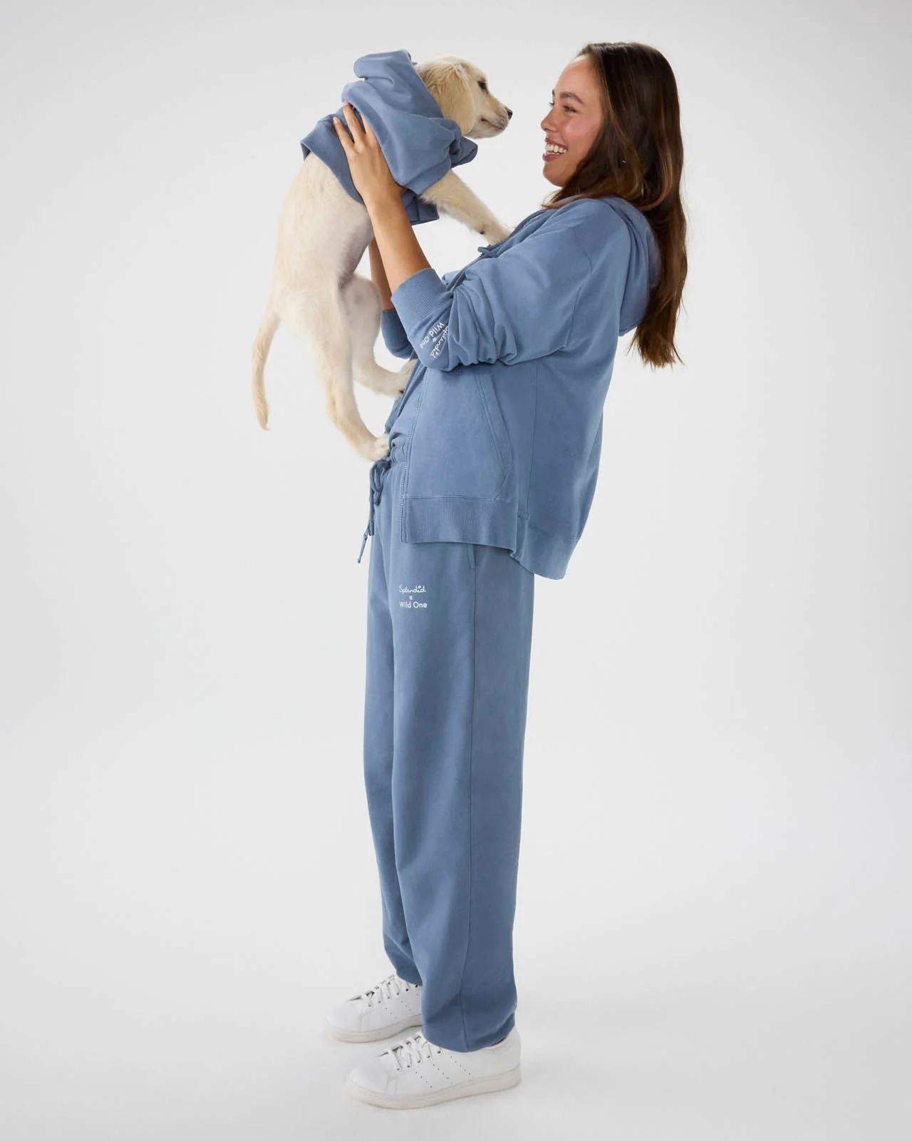 Splendid x Wild One Dog Hoodie - Image 25