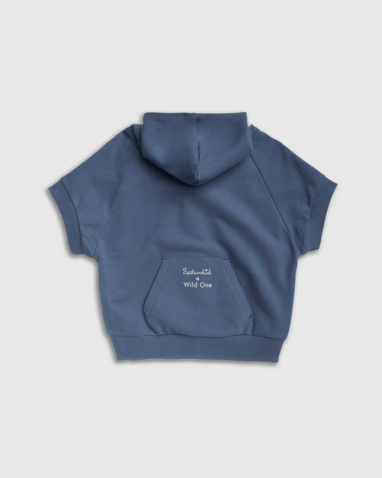 Splendid x Wild One Dog Hoodie - Image 27