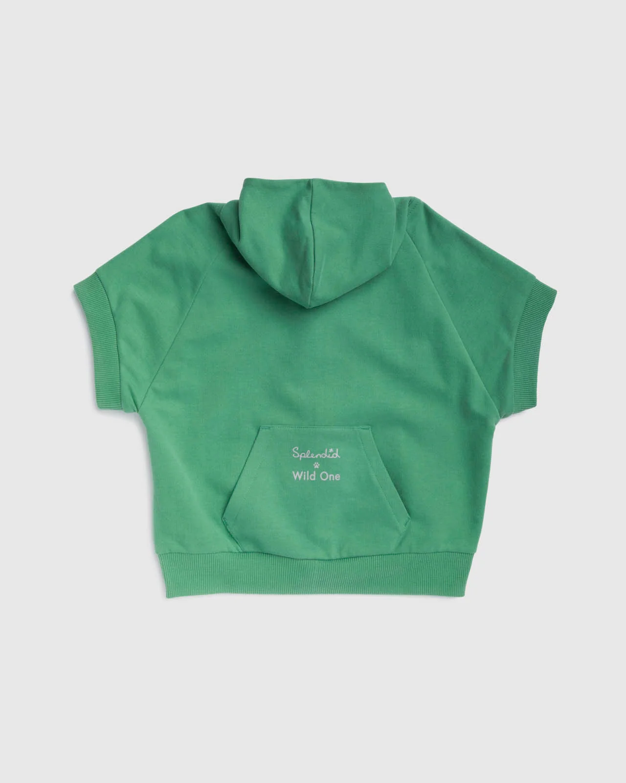Splendid x Wild One Dog Hoodie - Image 30