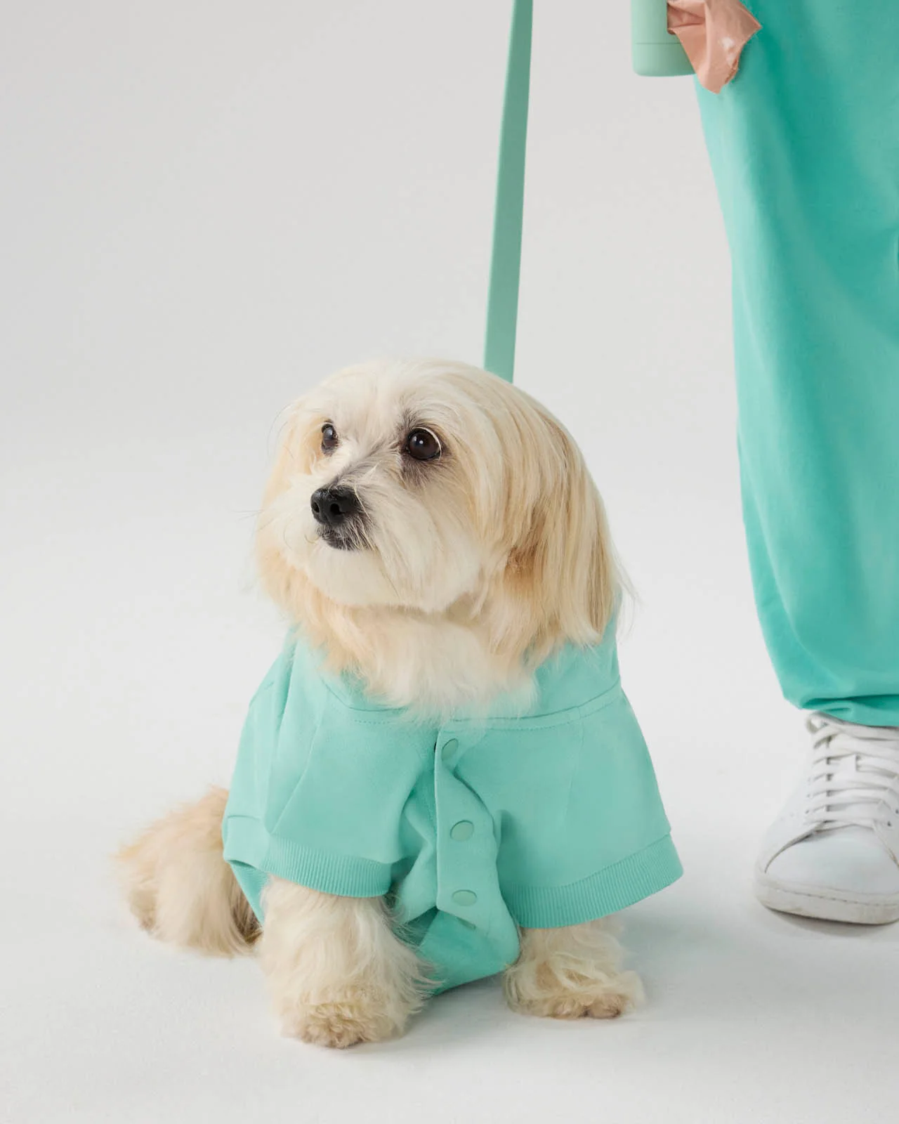 Splendid x Wild One Dog Hoodie - Image 31