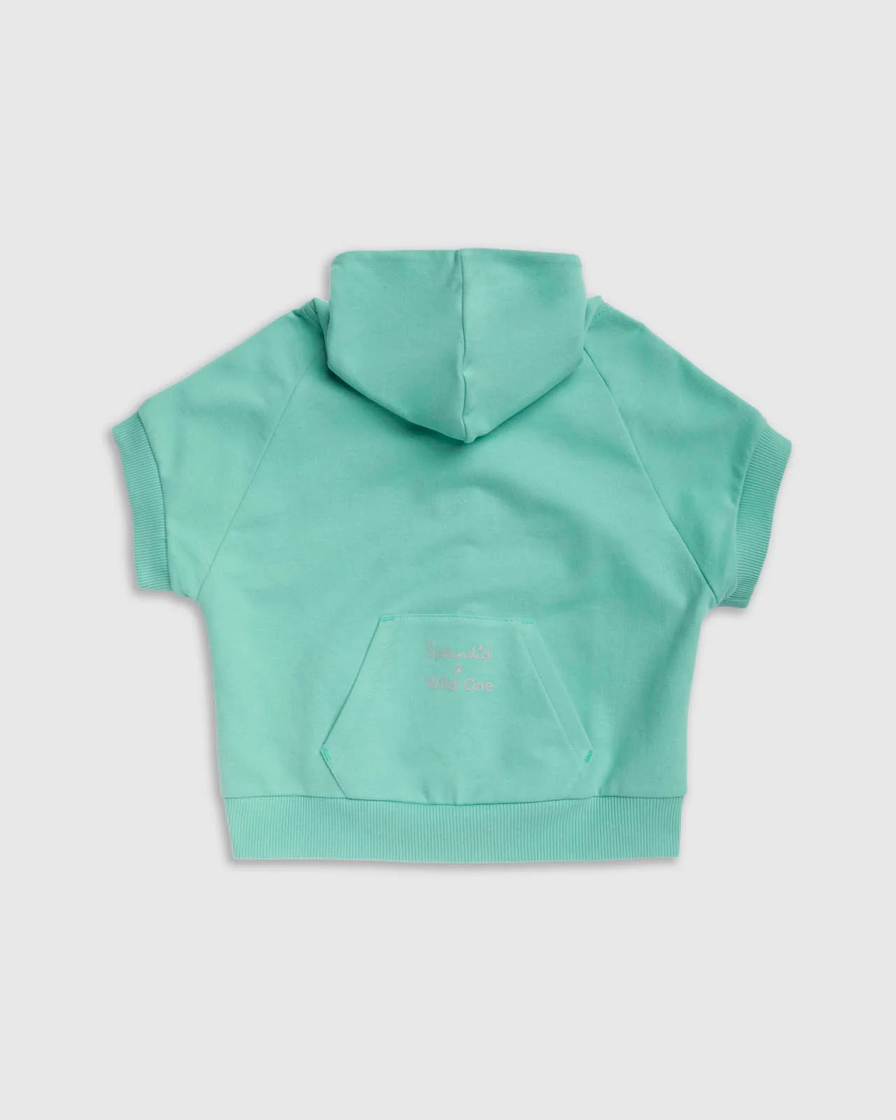 Splendid x Wild One Dog Hoodie - Image 35