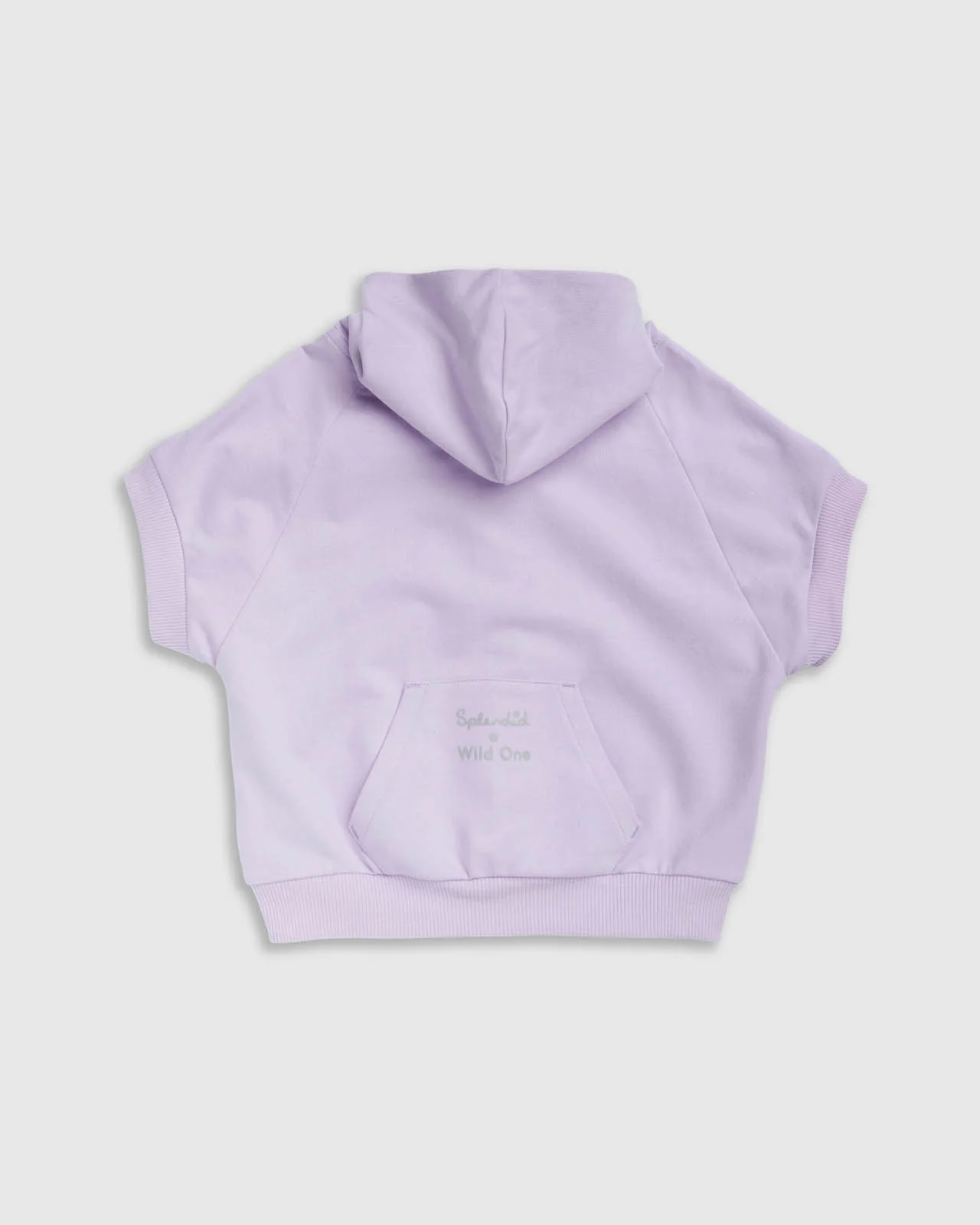 Splendid x Wild One Dog Hoodie - Image 4