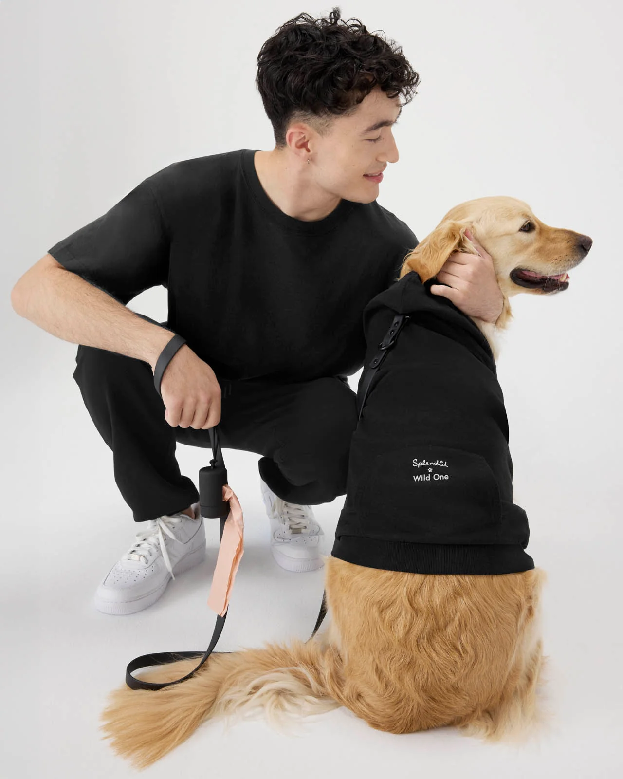 Splendid x Wild One Dog Hoodie - Image 5