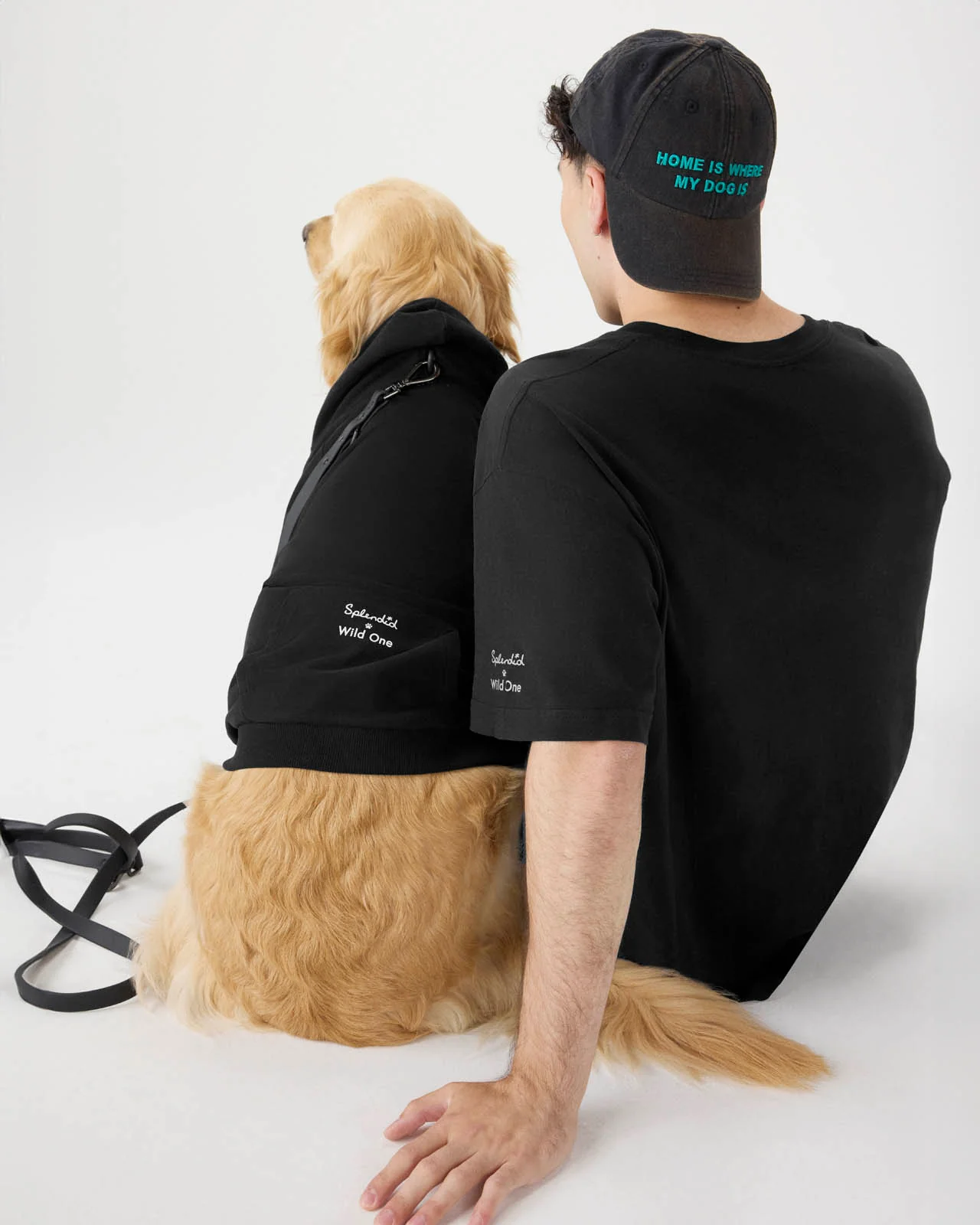 Splendid x Wild One Dog Hoodie - Image 6