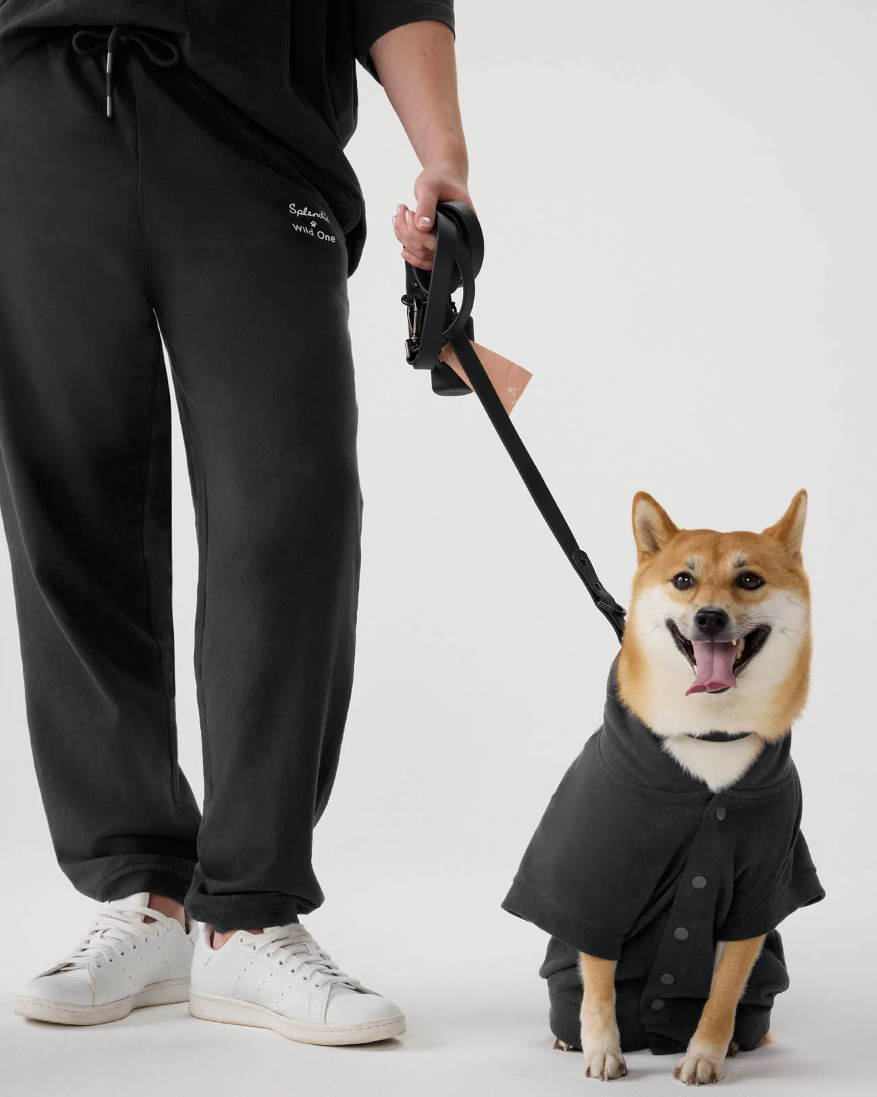 Splendid x Wild One Dog Hoodie - Image 8