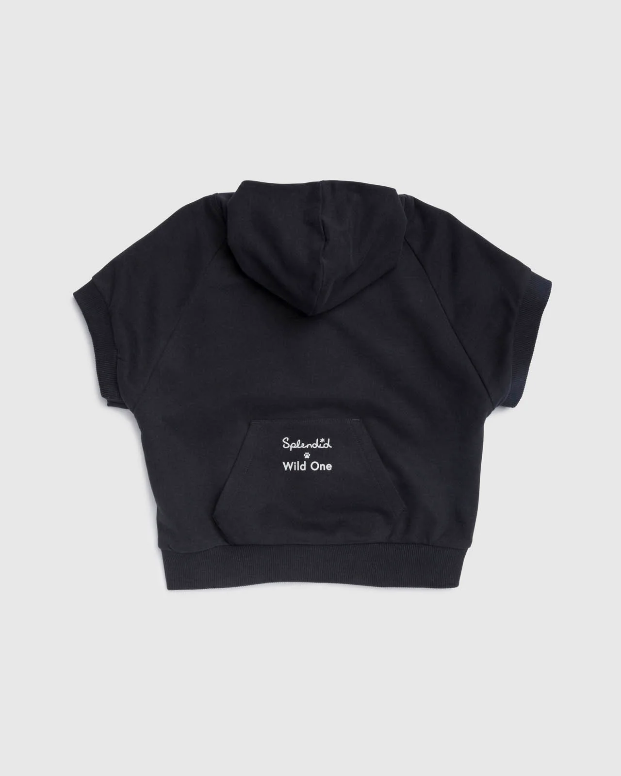Splendid x Wild One Dog Hoodie - Image 9