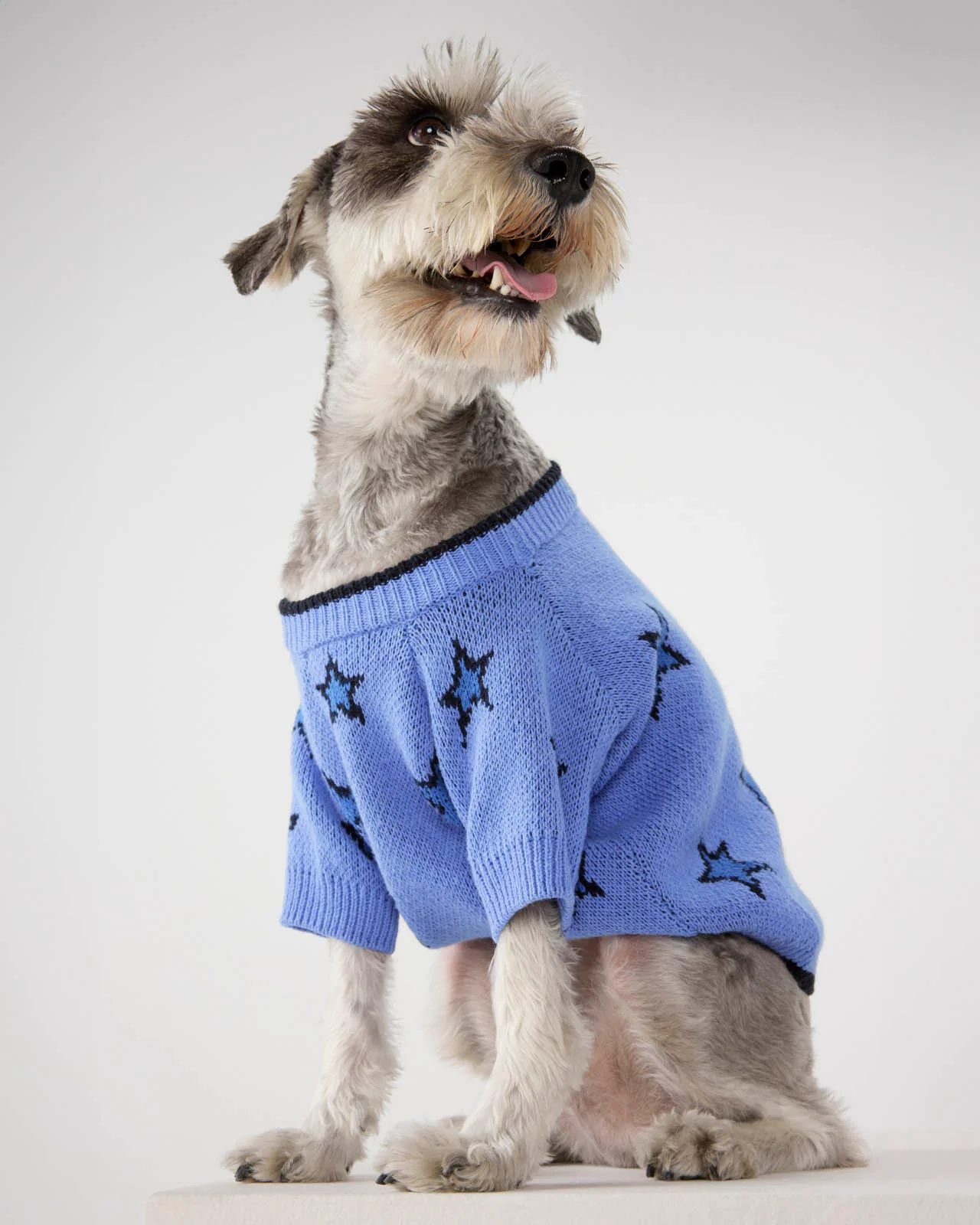 Splendid x Wild One Dog Star Sweater - Image 4