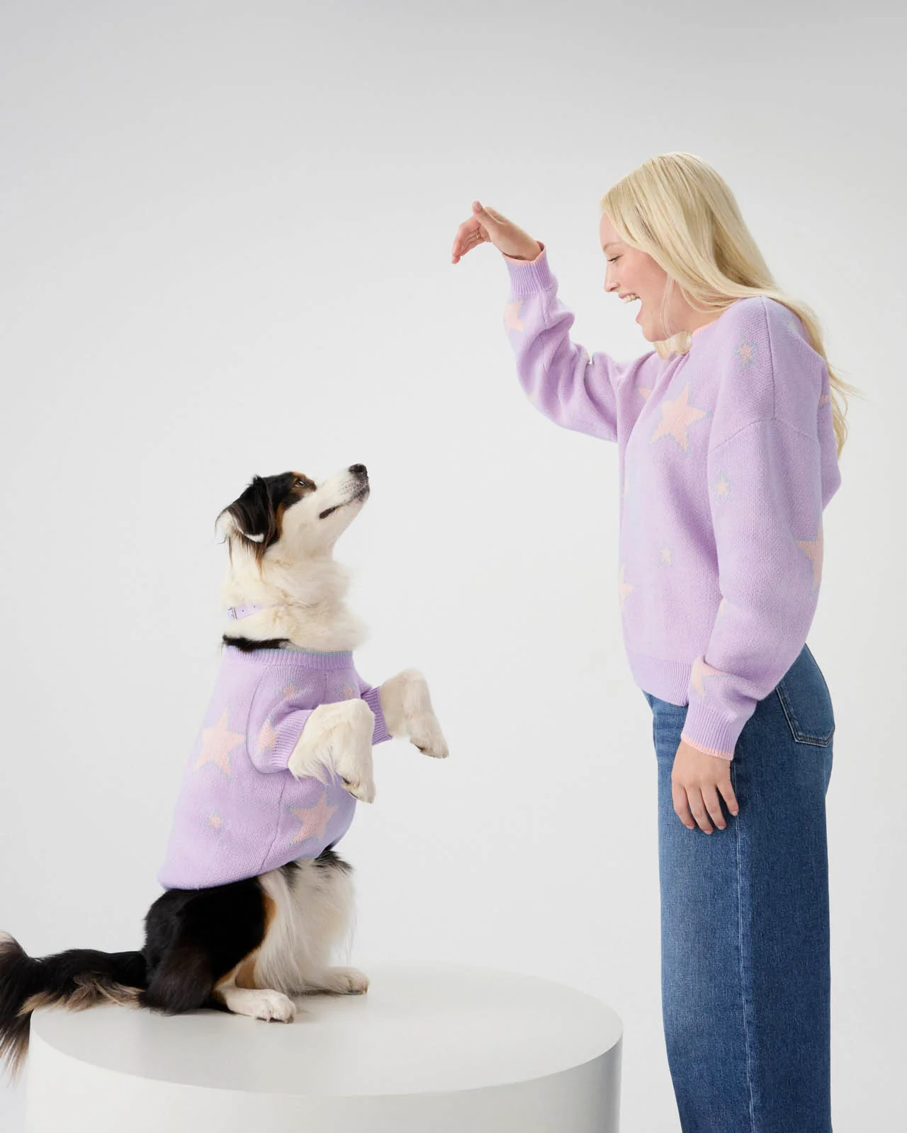 Splendid x Wild One Dog Star Sweater - Image 8