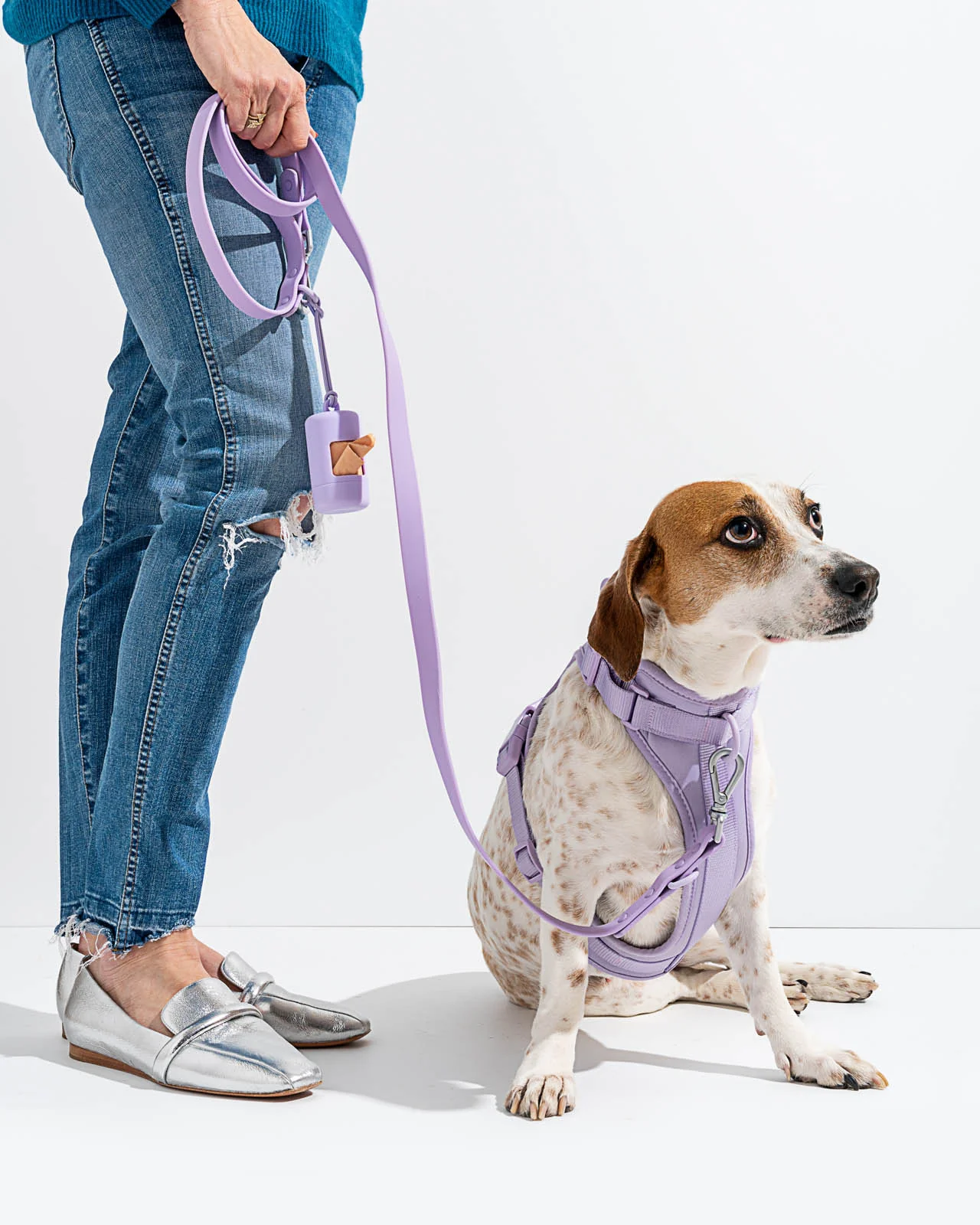 Splendid x Wild One Harness - Image 29