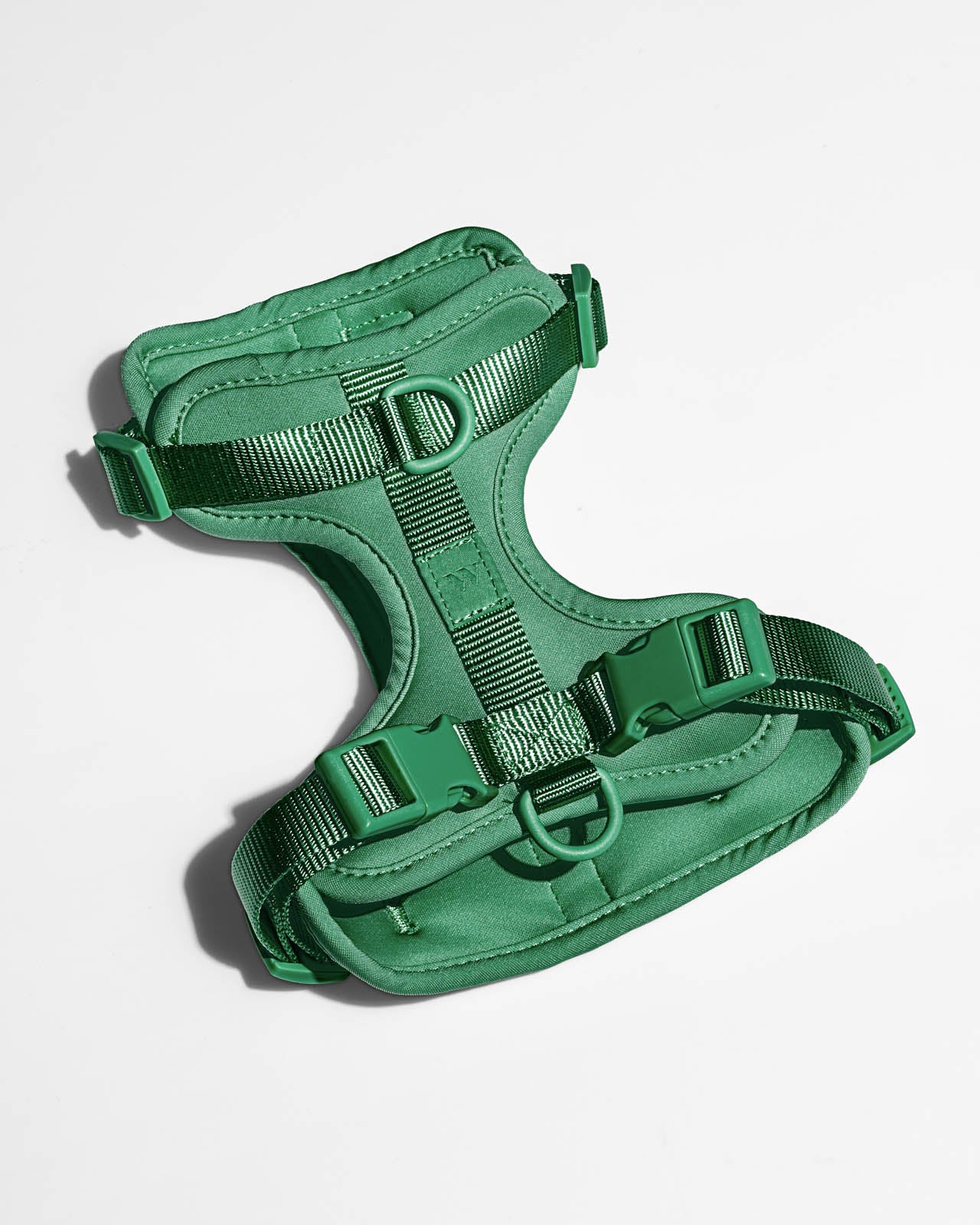 Splendid x Wild One Harness - Image 3