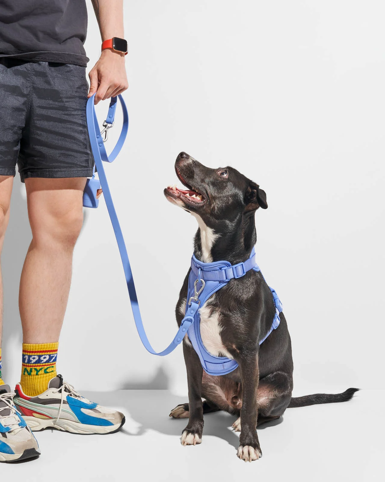 Splendid x Wild One Harness - Image 35