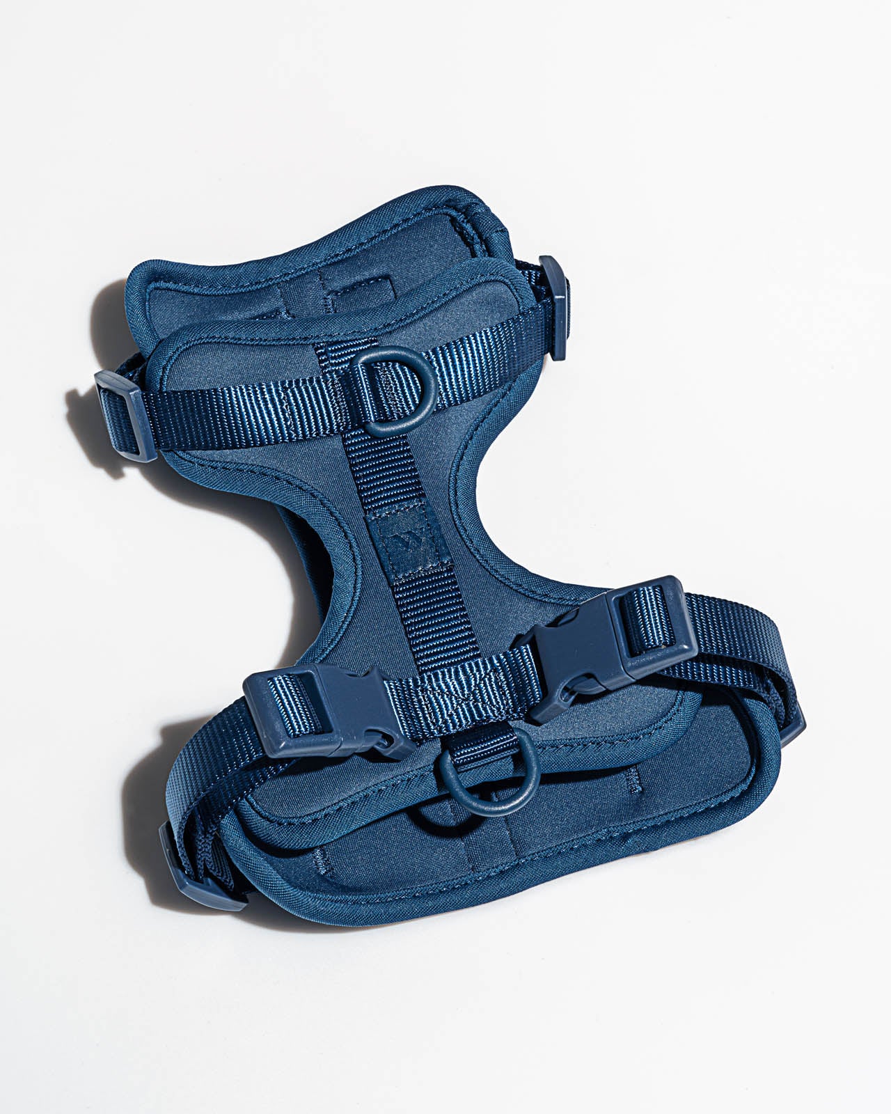 Splendid x Wild One Harness - Image 45